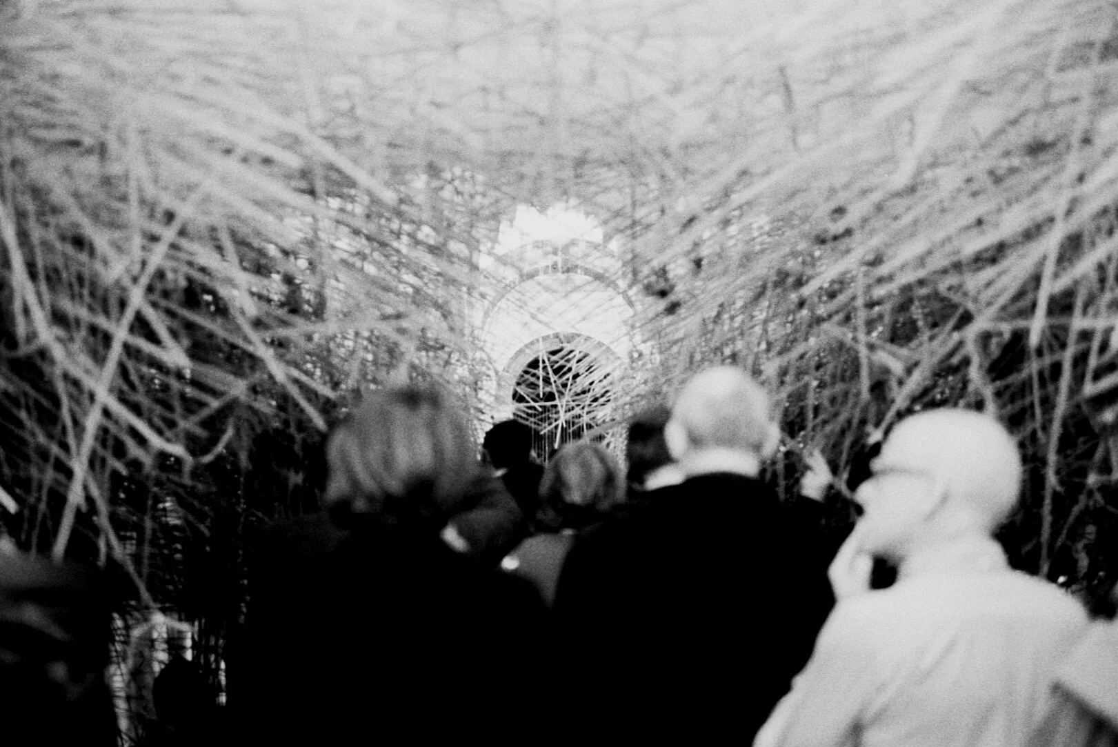 Peeking through the straws