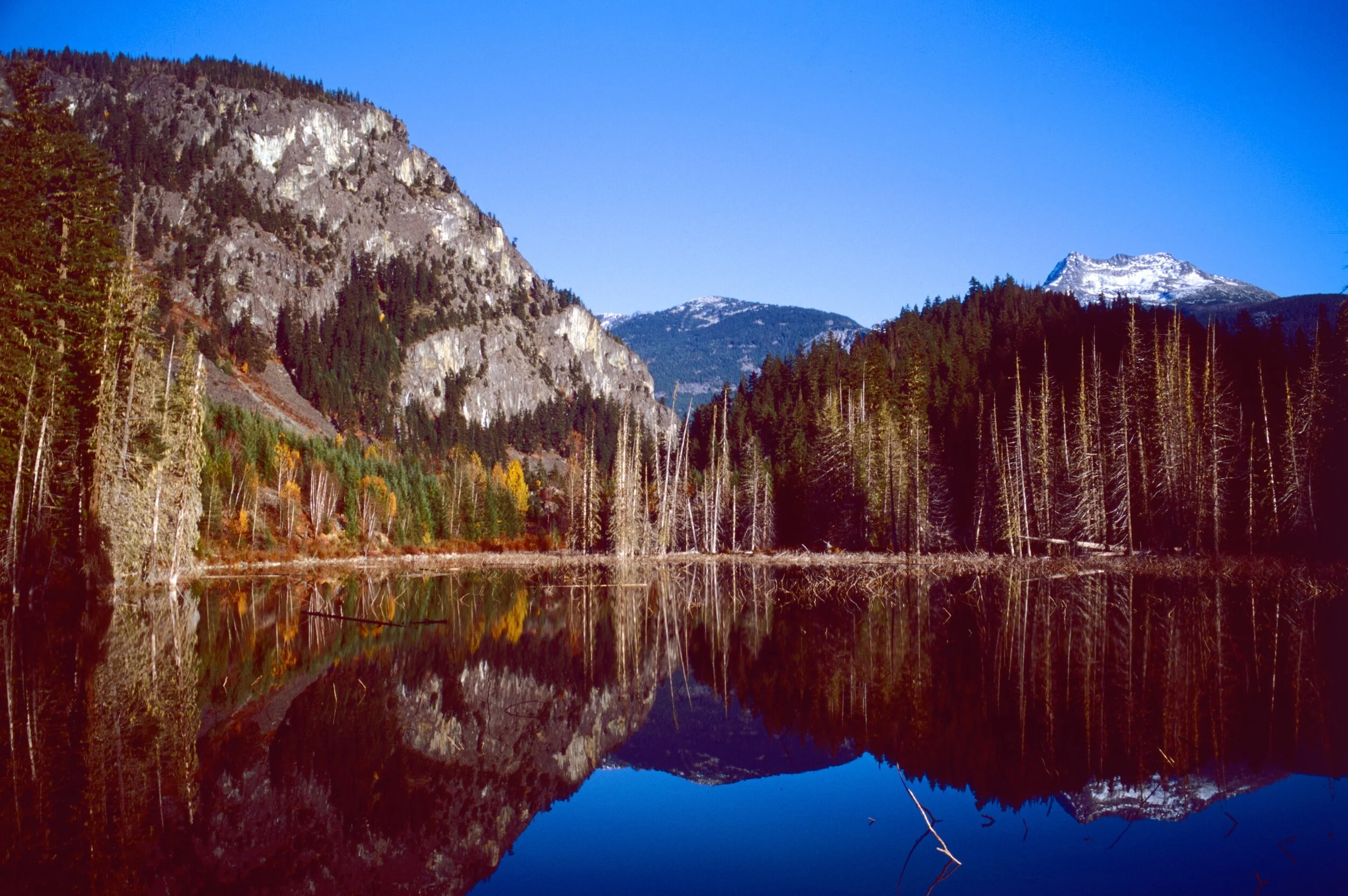 I wish I could click my heels and be here now