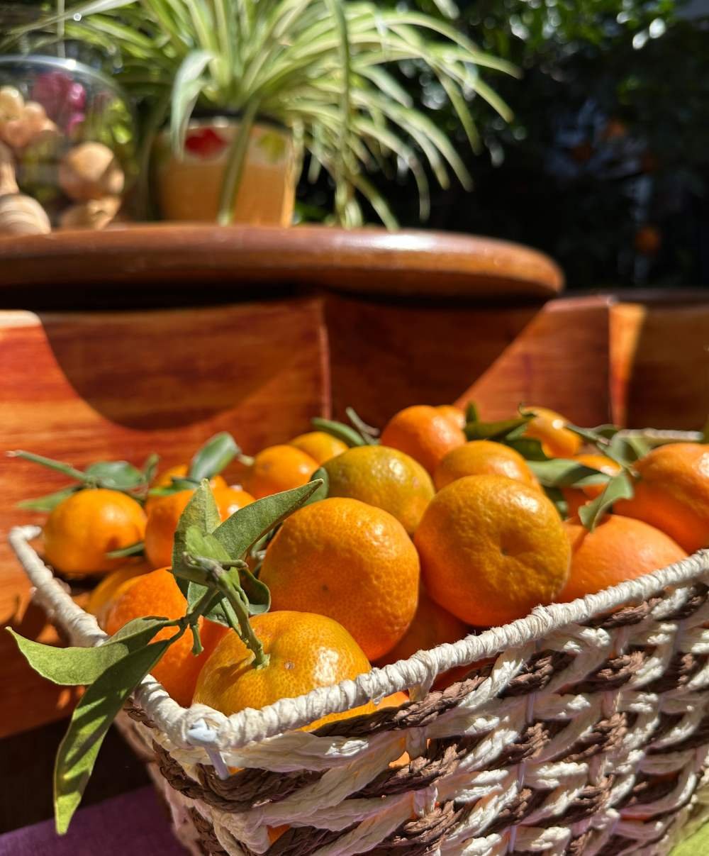 oranges at senorio de cabrera.jpg
