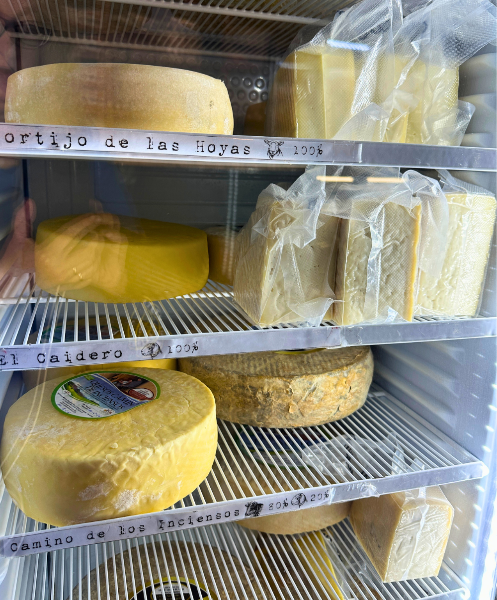 cheeses of moya.png