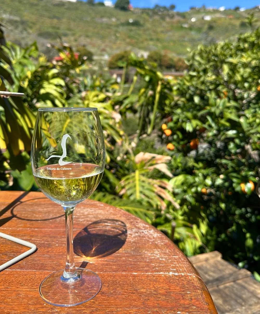 Senorio de Cabrera wine glass.jpg