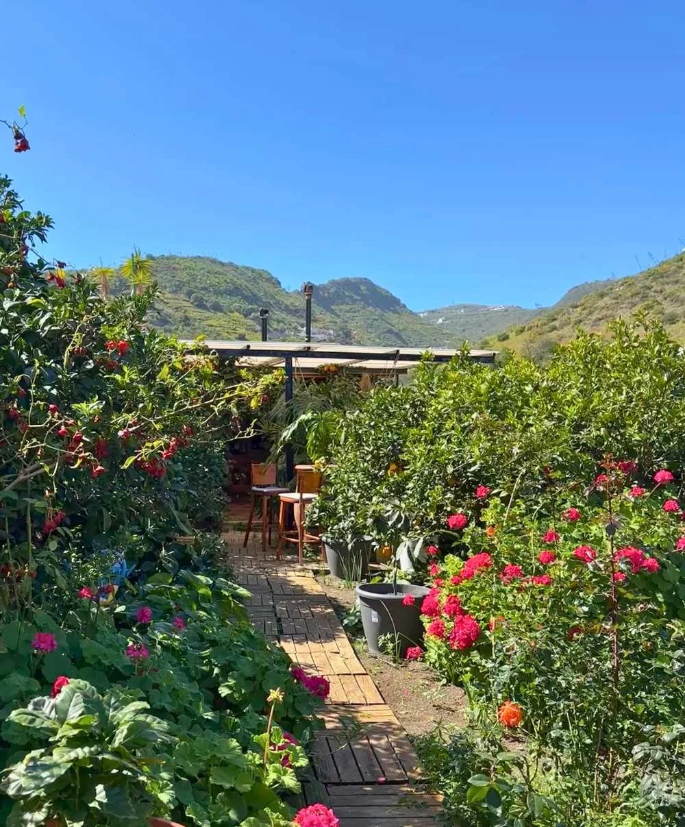 Senorio de Cabrera garden.jpg