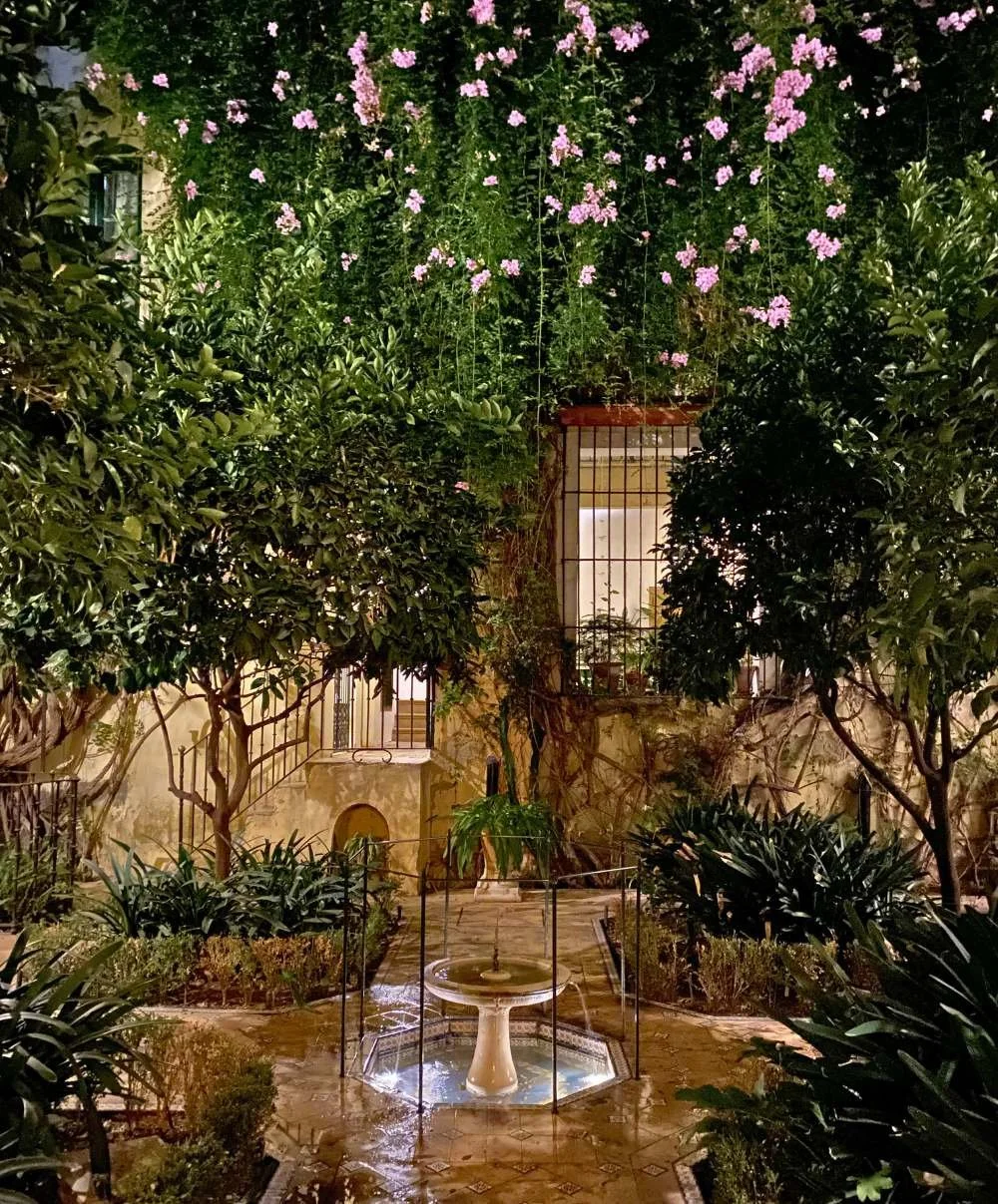 Flower courtyard las casas de la juderia seville.jpg