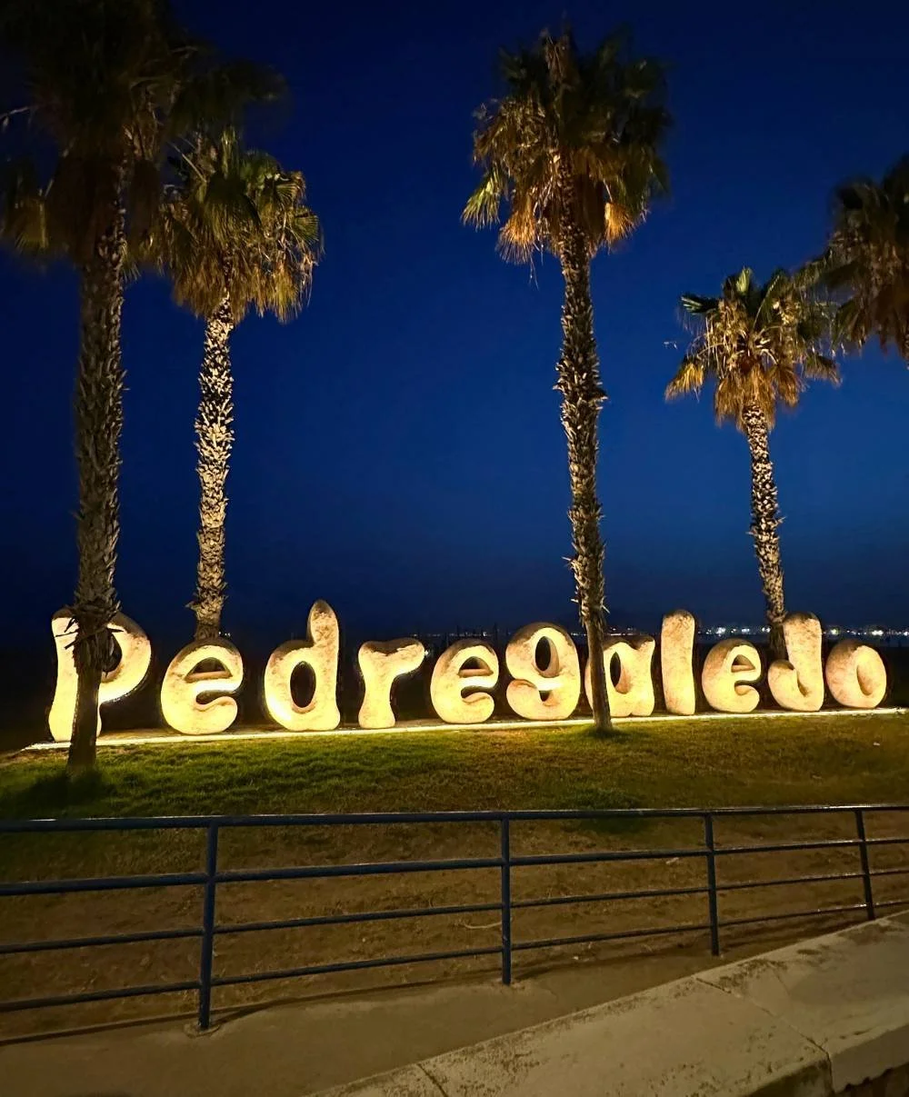 Pedregalejo sign at night.jpg