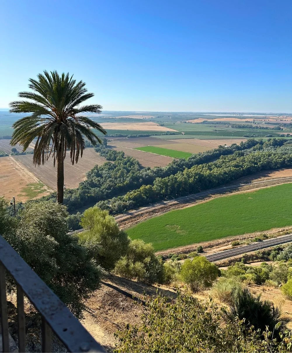 Mirador de la Liza.jpg