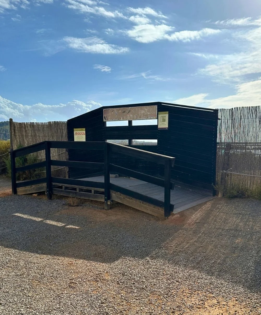 birdwatching area.jpg