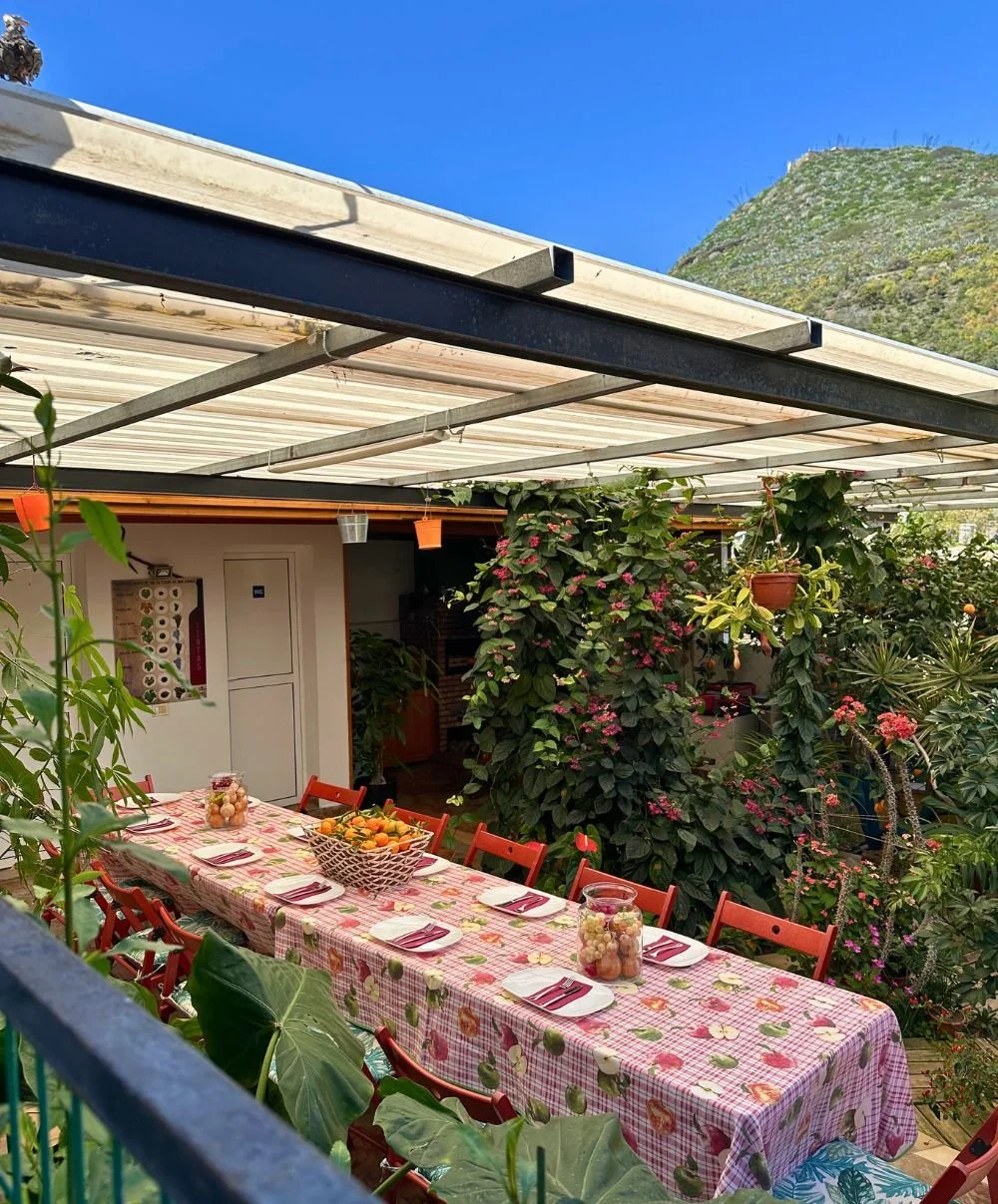 Where to eat in Gran Canaria for authentic local cuisine