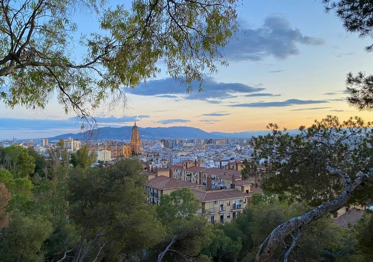 A view through trees towards the city of Malaga at sunset