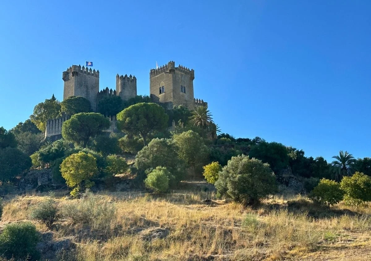Castle of Almodóvar del Río rising above a tree-covered hill in the Andalusian countryside, viewed from below beneath a clear blue sky.