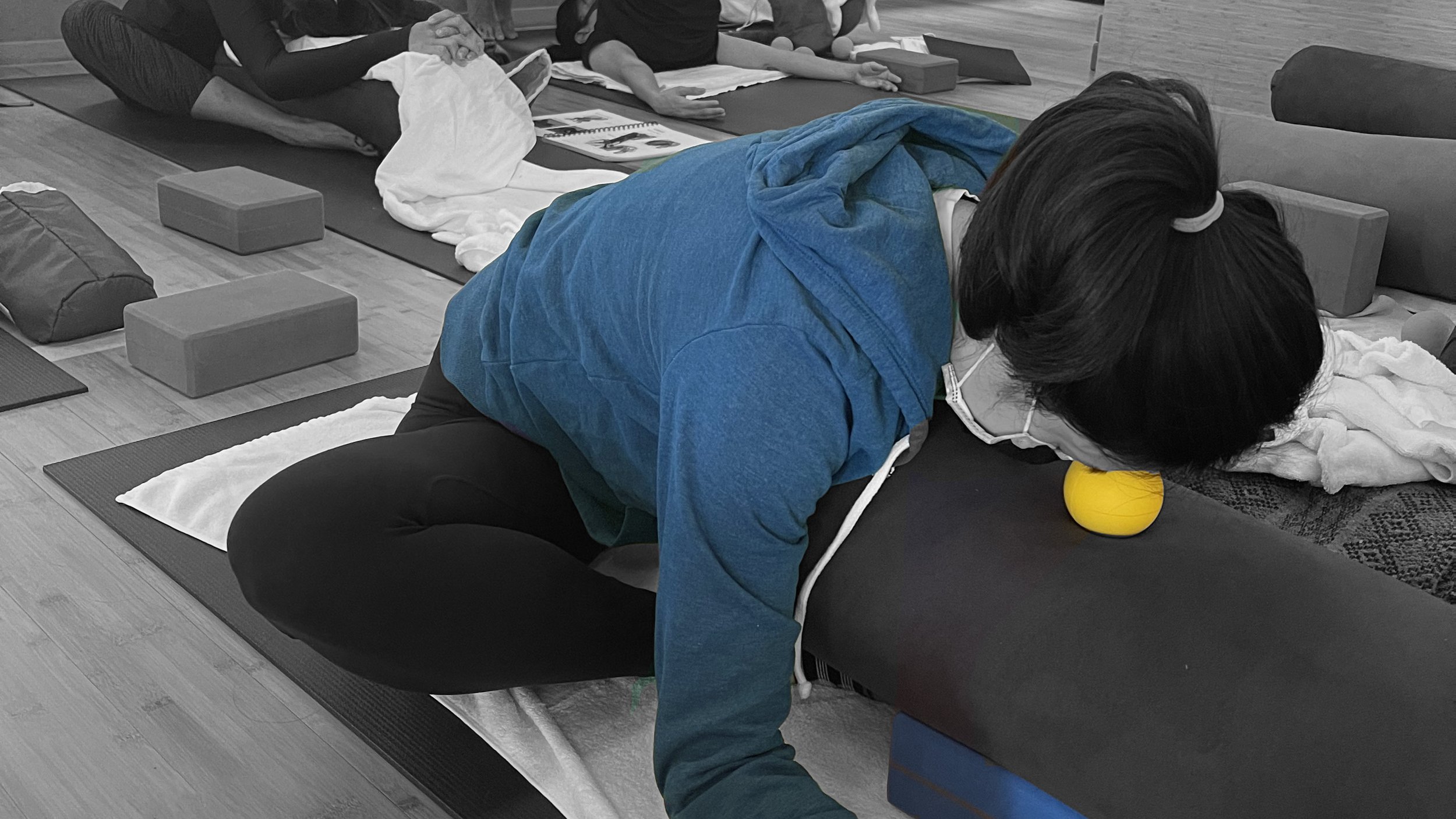 Myofascial Release, MyoYin & Spine Anatomy (Module 2) — Yintelligence  School of Yin & Functional Yoga