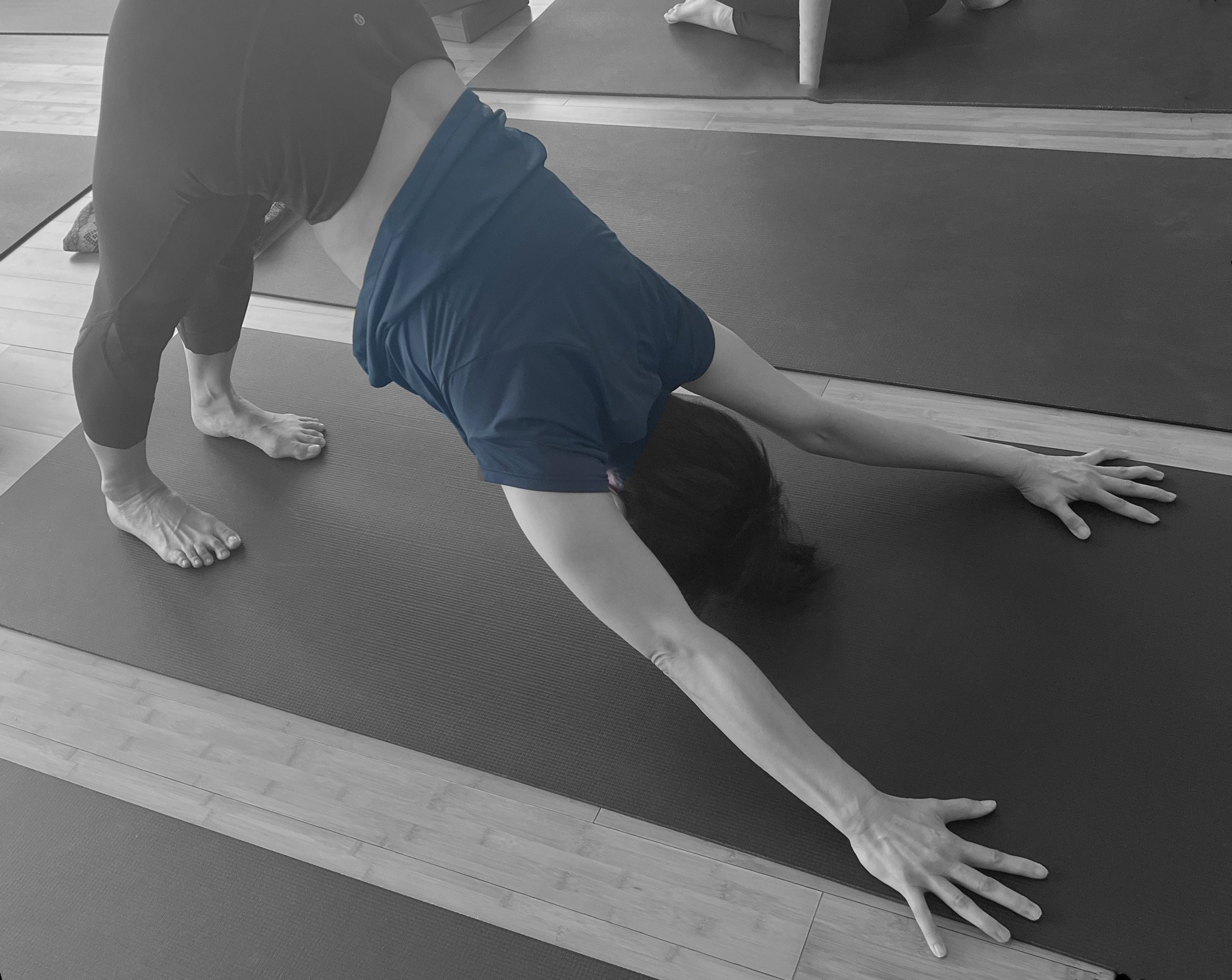 Functional Yang, Yin-Yang & Shoulder Anatomy (Module 3) — Yintelligence  School of Yin & Functional Yoga