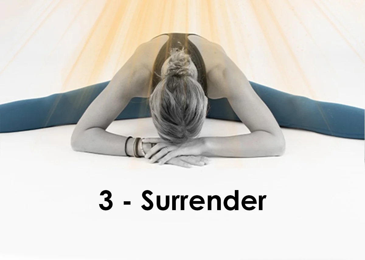 3 - Surrender.jpg