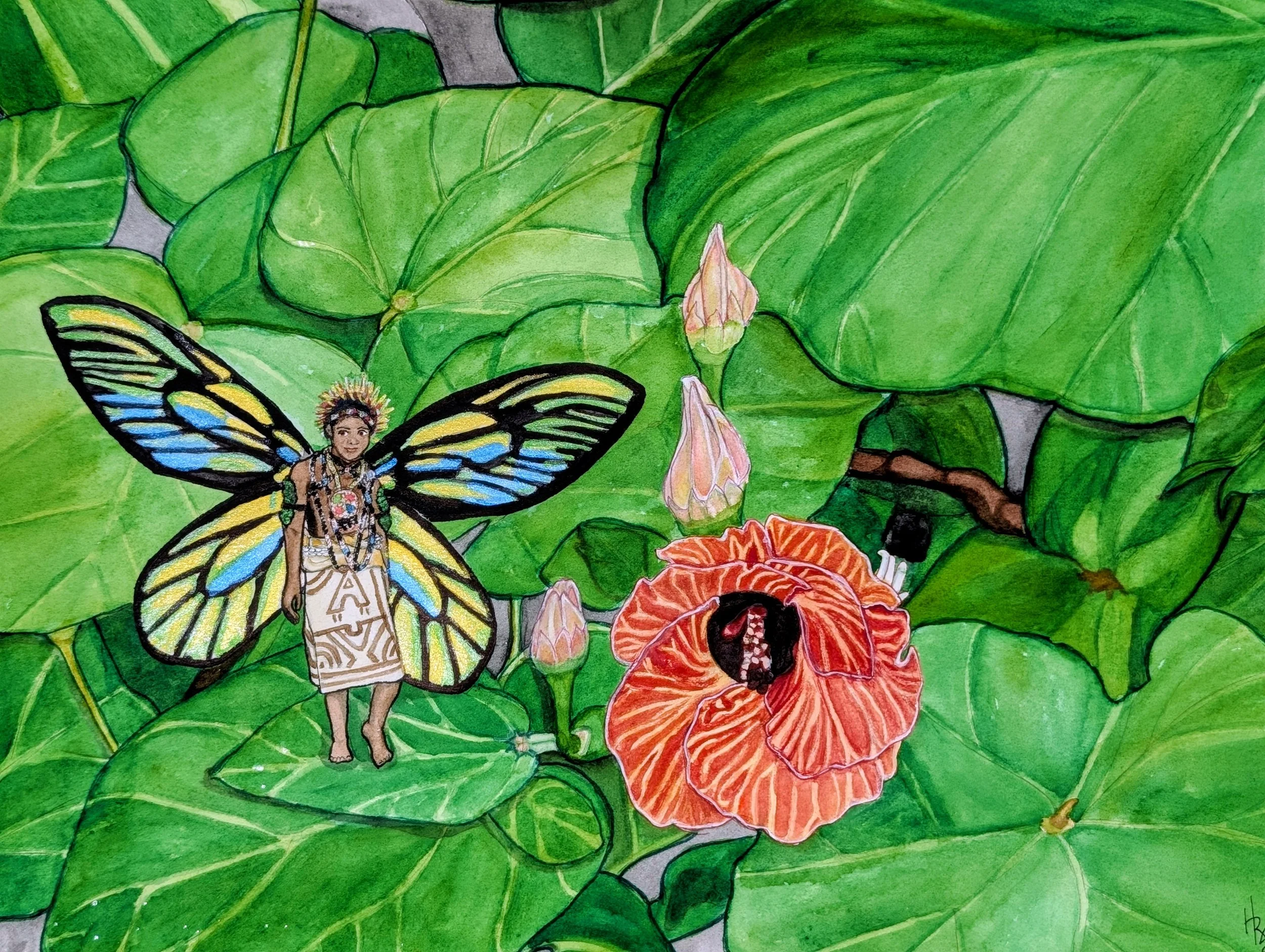 Red List Date: 2001 Papua New Guinea. 
Queen Alexandra's Birdwing (Ornithoptera alexandrae),
Food Plant: Sea Hibiscus (Hibiscus tiliaceus)
Inspired by: Tapas Cloth