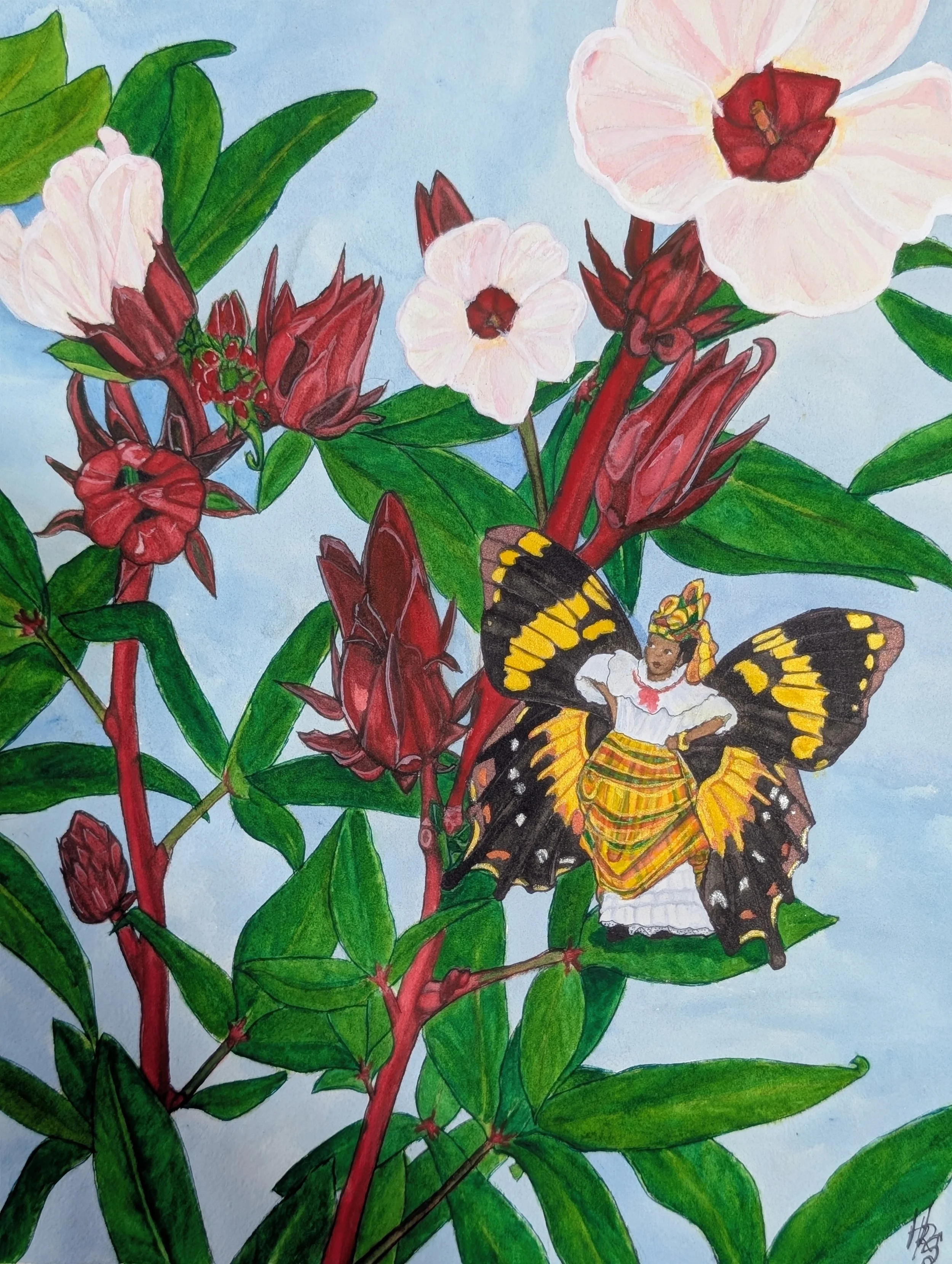 Red List Date: 2022 Jamaica
Homerus Swallowtail (Papilio homerus)
Food Plant: Jamaica sorrel,(Hibiscus sabdariffa )
Inspired by: Quadrille dancer