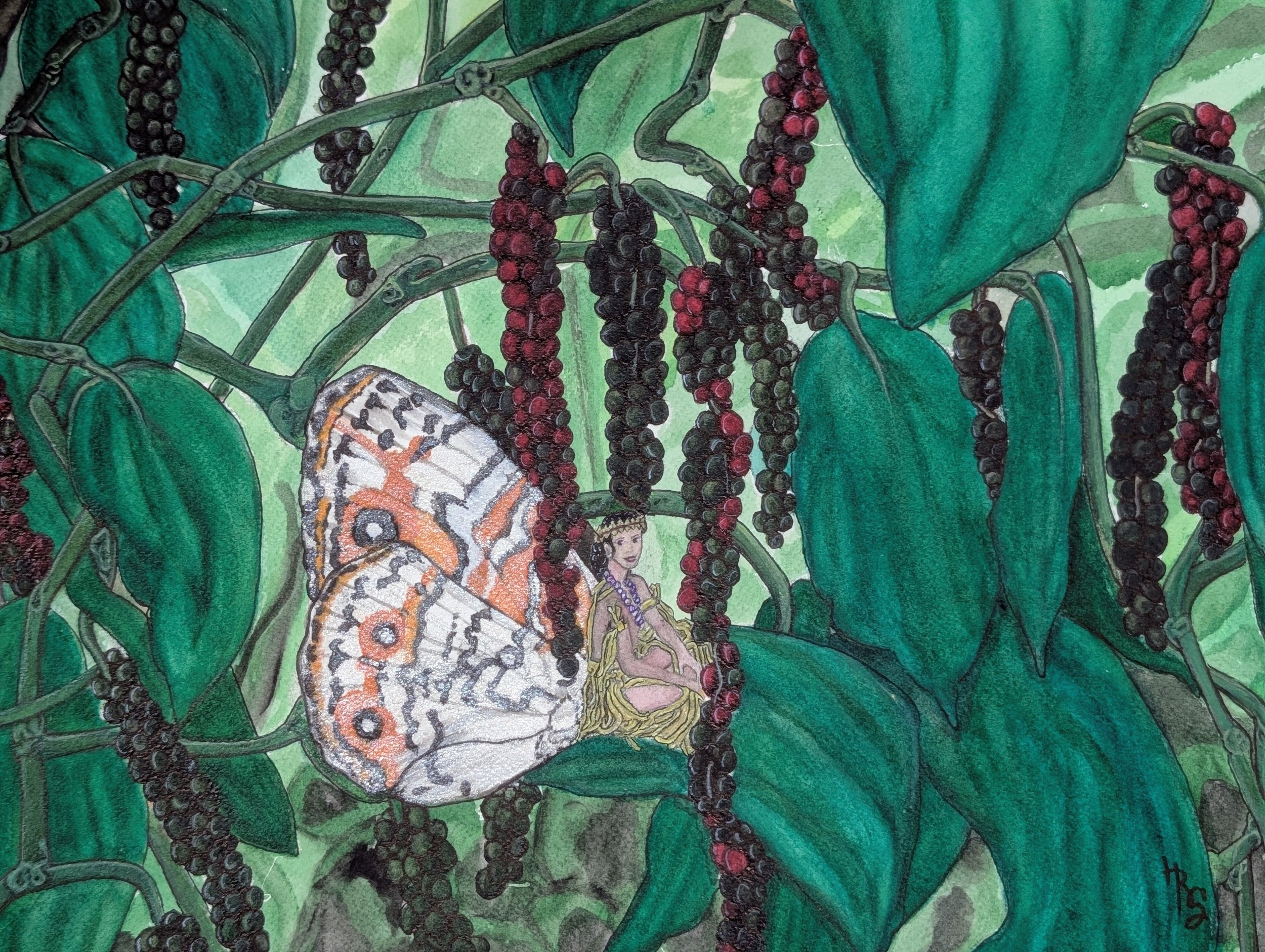 Pohn'pe Pepper (12 x 16 Watercolor)