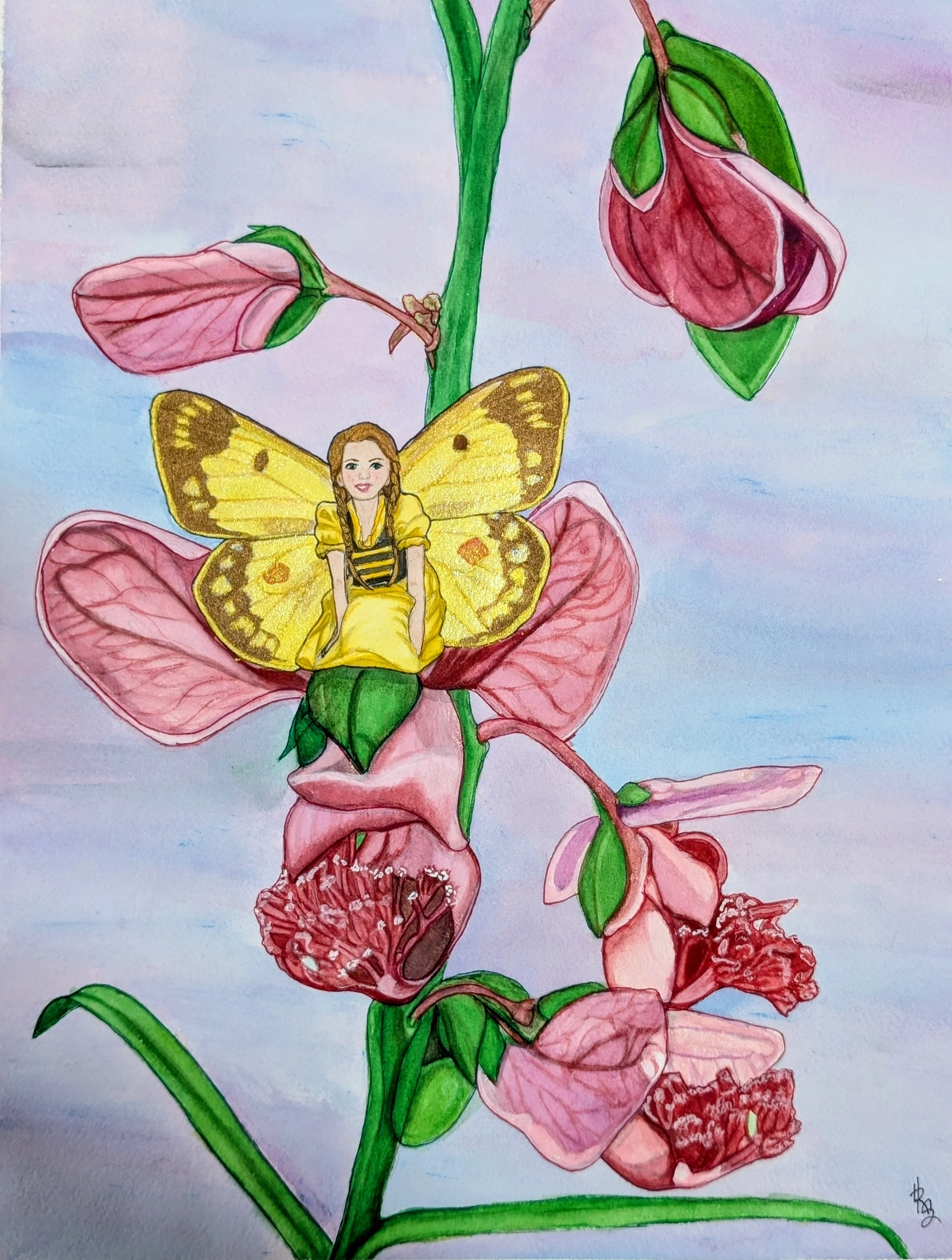 Red List Date: 2010 Germany 
Danube clouded yellow (Colias myrmidone,)
Food Plant: Purple Broom (Chamaecytisus purpureus)
Inspired by: Children’s Day