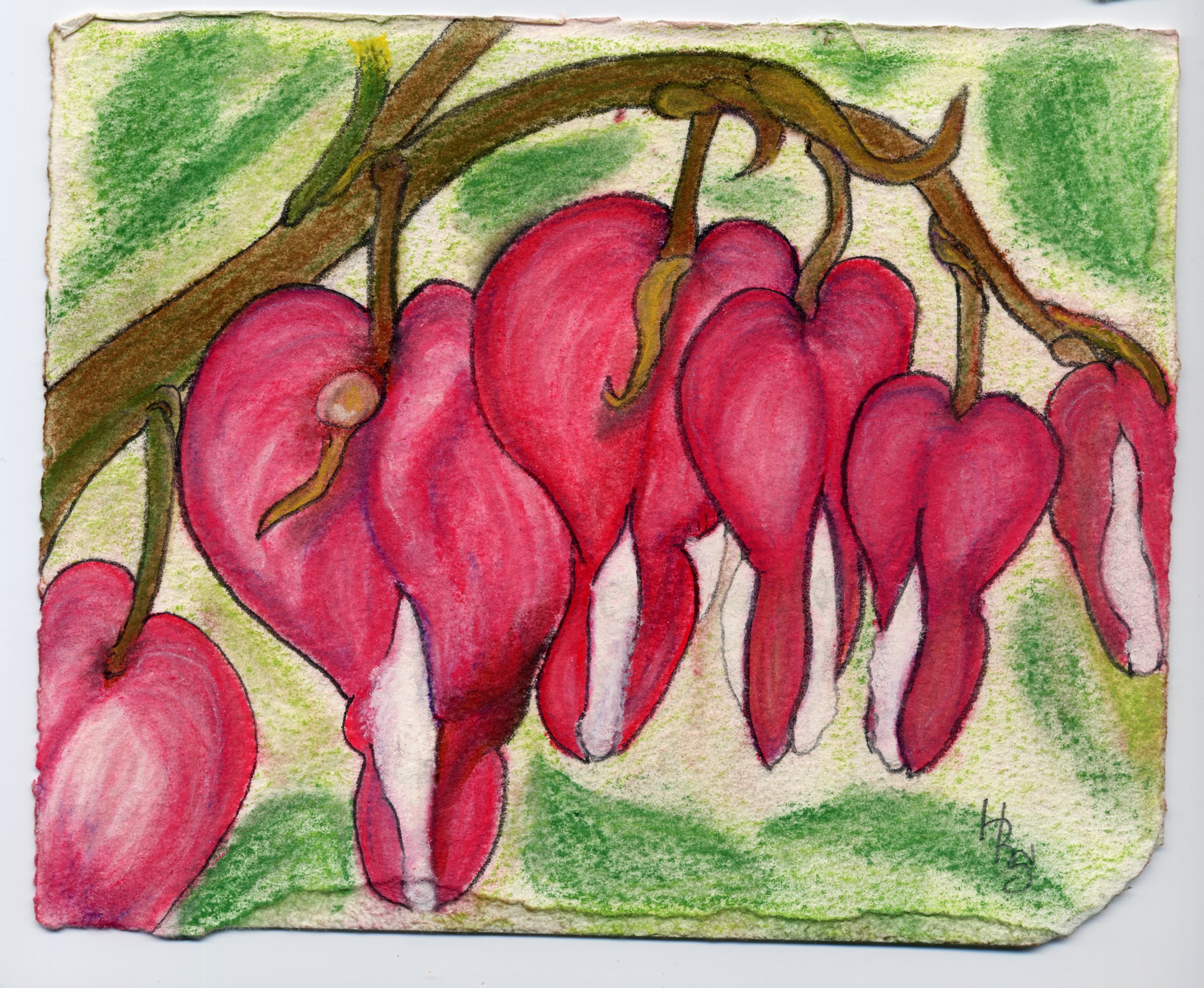 Bleeding Hearts (6 x 8) Pastels