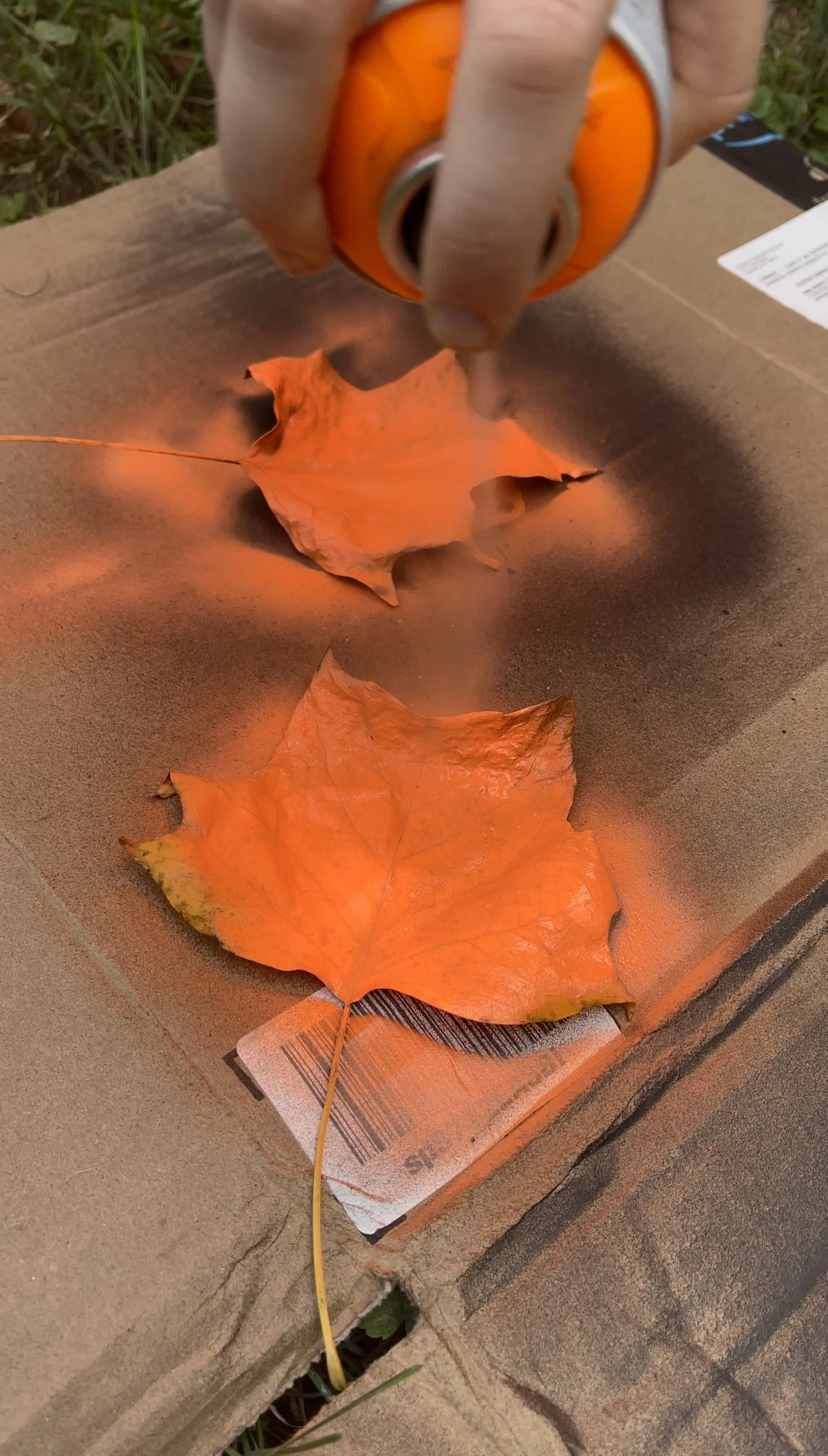 Pumpkin flavored leaves 