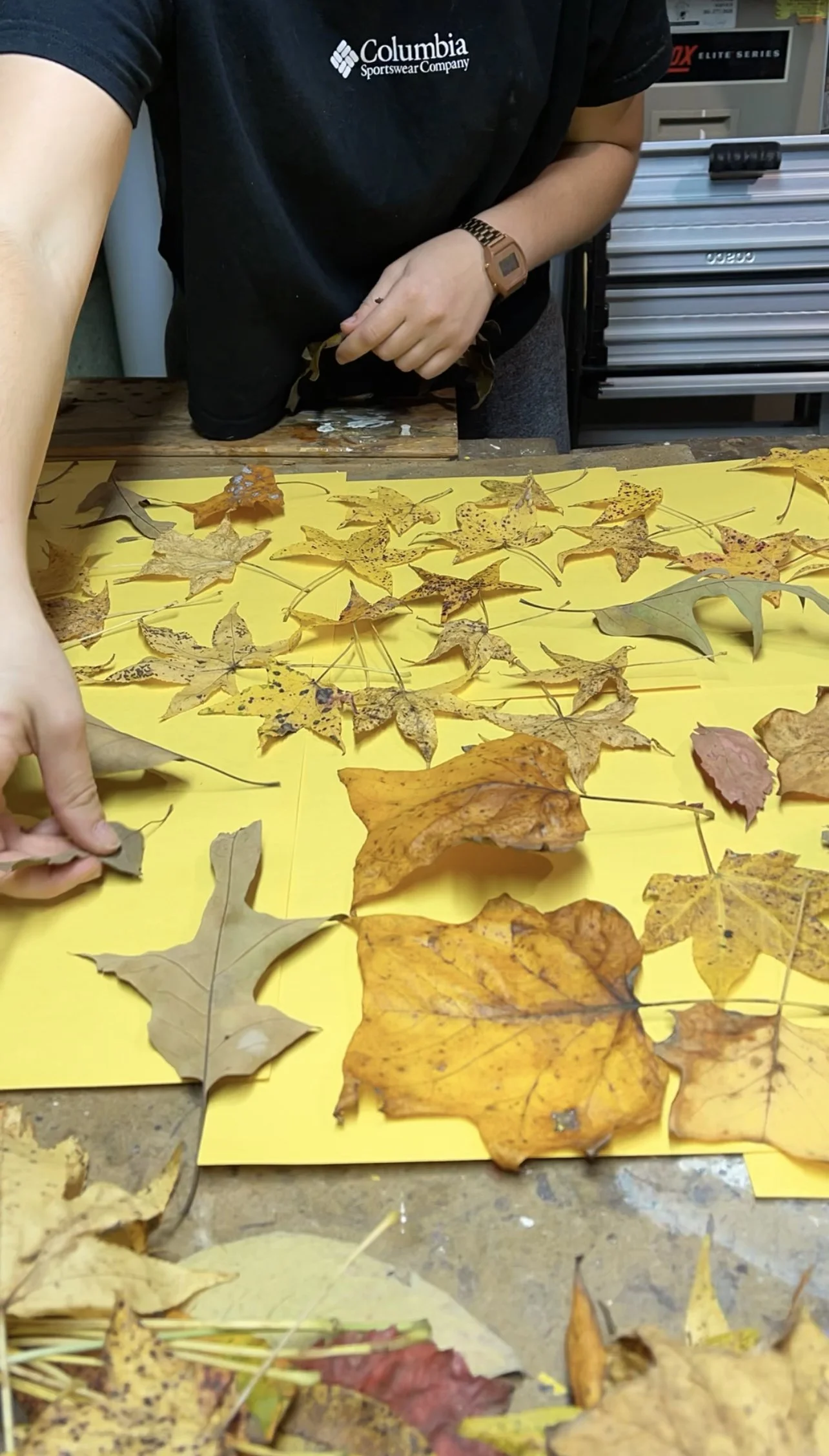 Preparing the leaves to be pressed