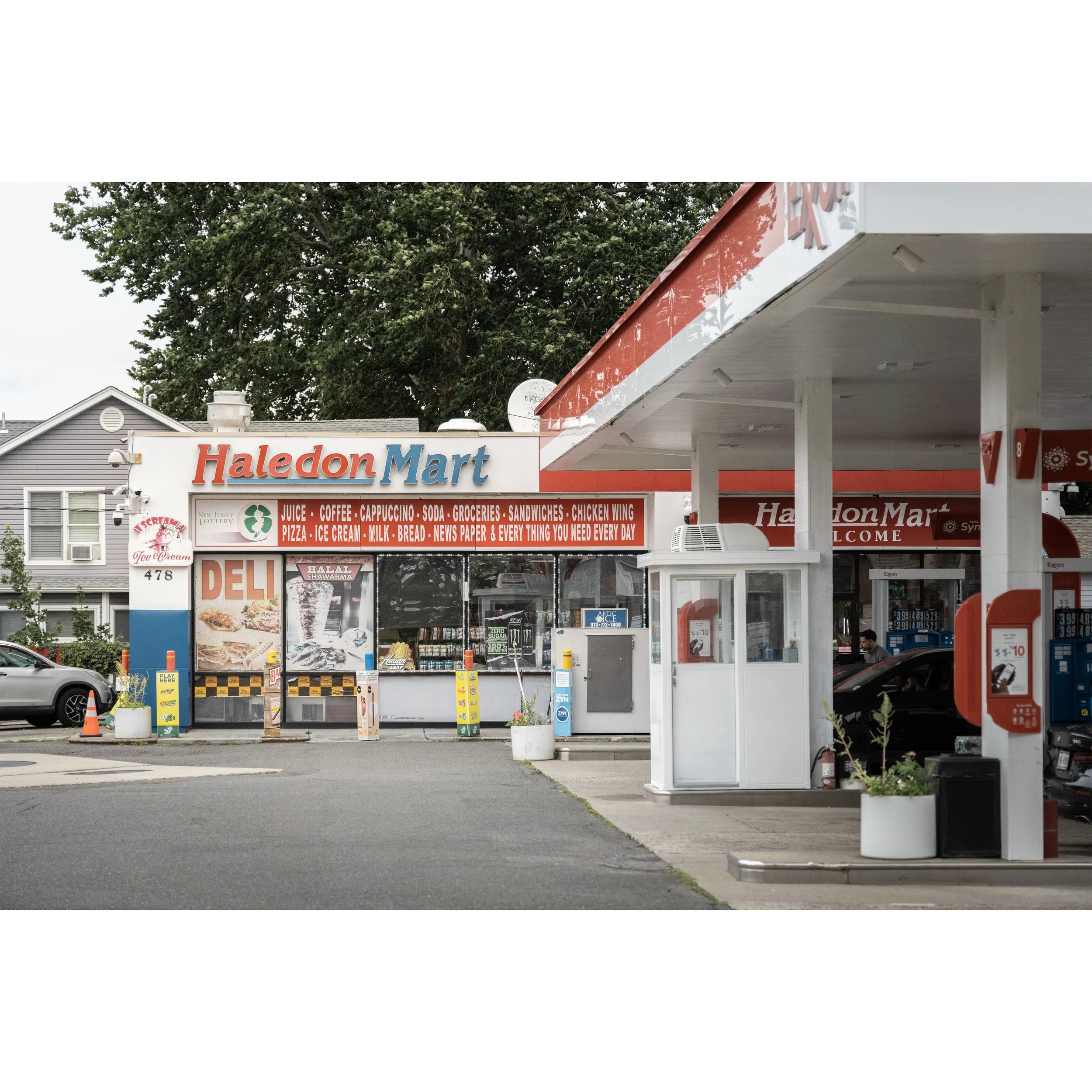 Haledon_Original_SQ.jpg