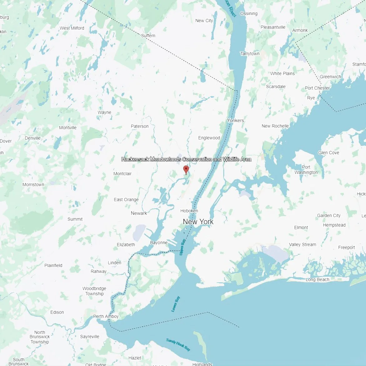 meadowlandsMap_Square.jpg