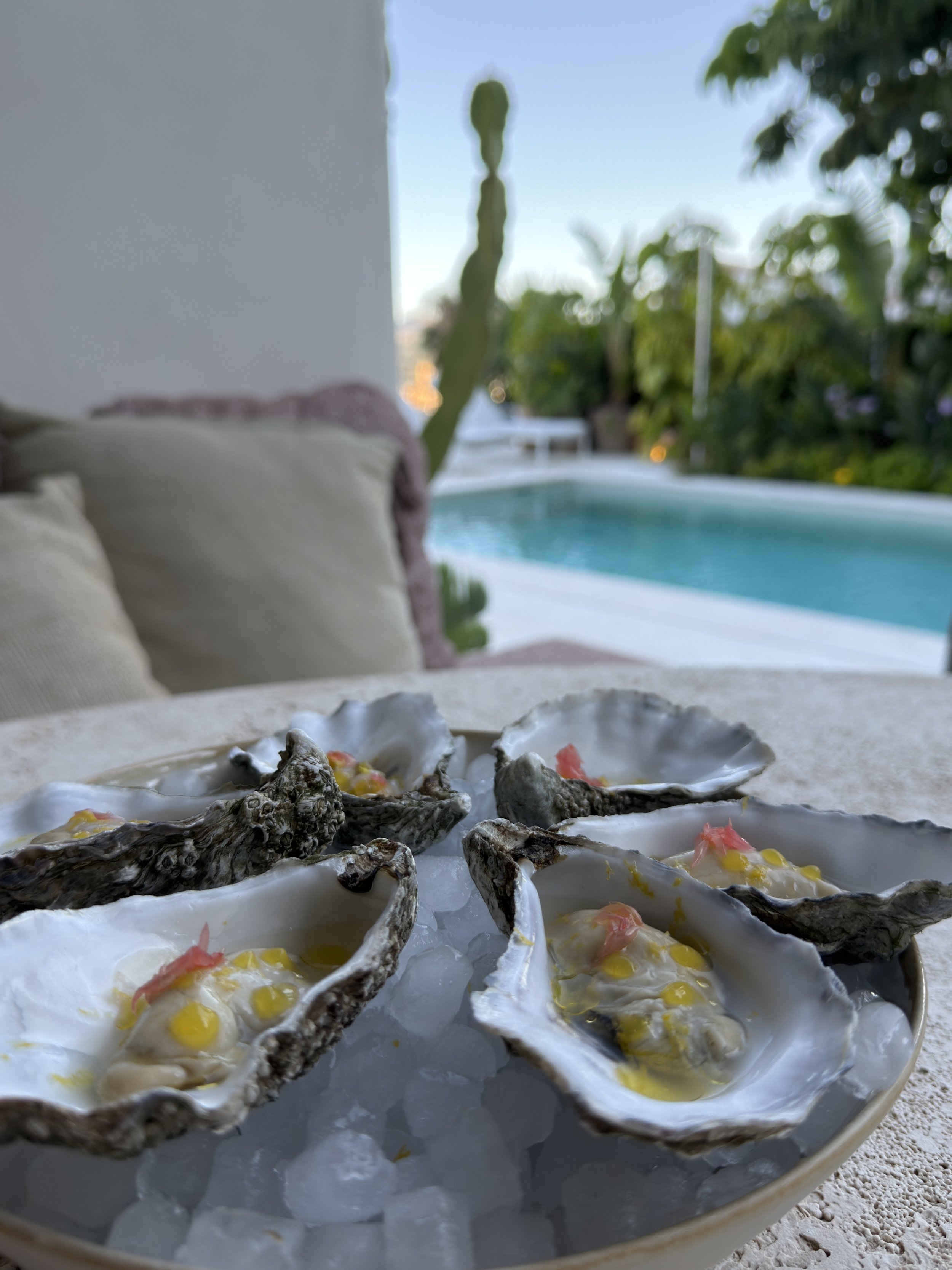 Oysters served poolside during a private villa dining experience.