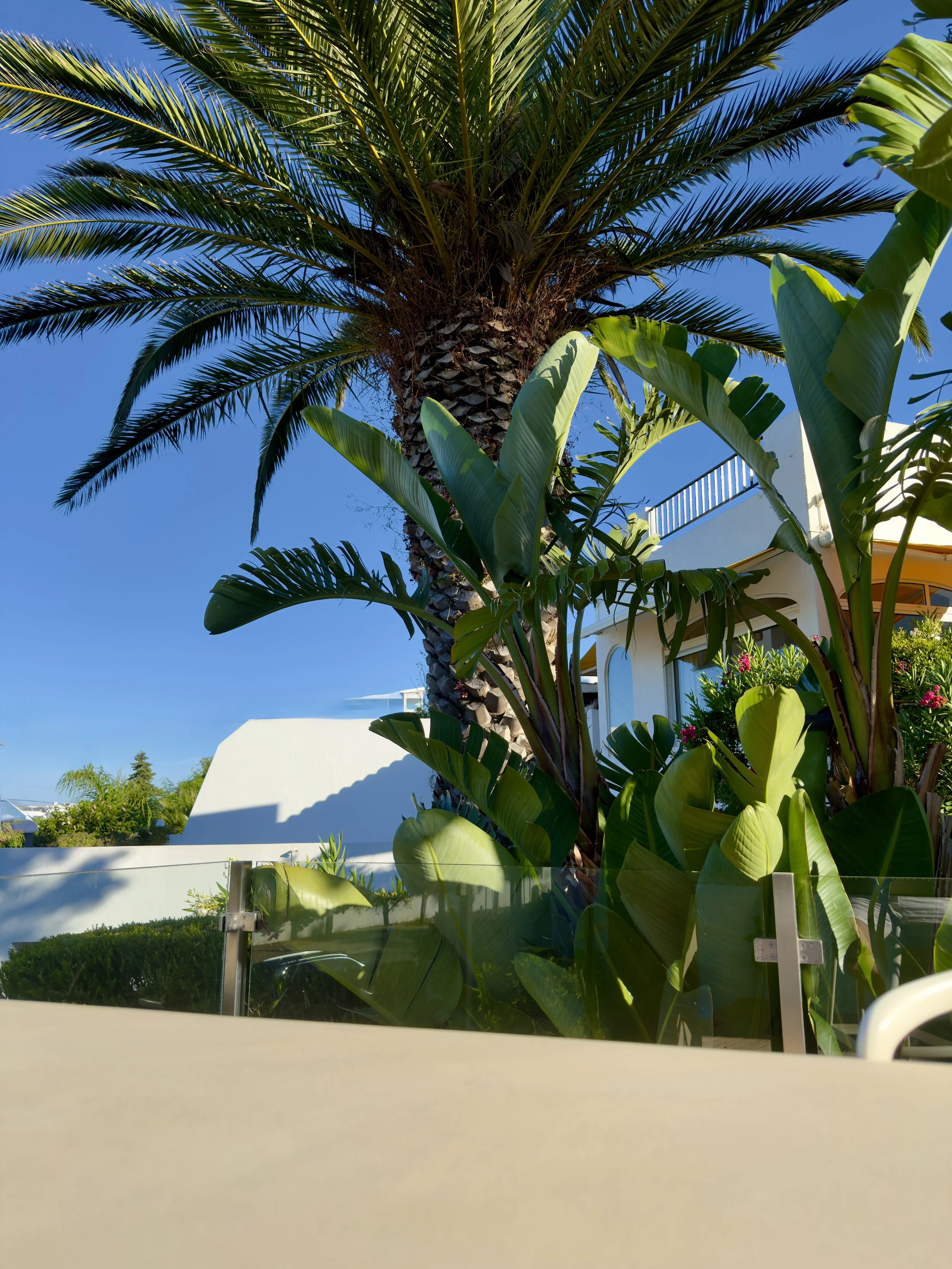     Mediterranean villa setting with palm trees, reflecting the destination-led world of Alma Nómada Studio.