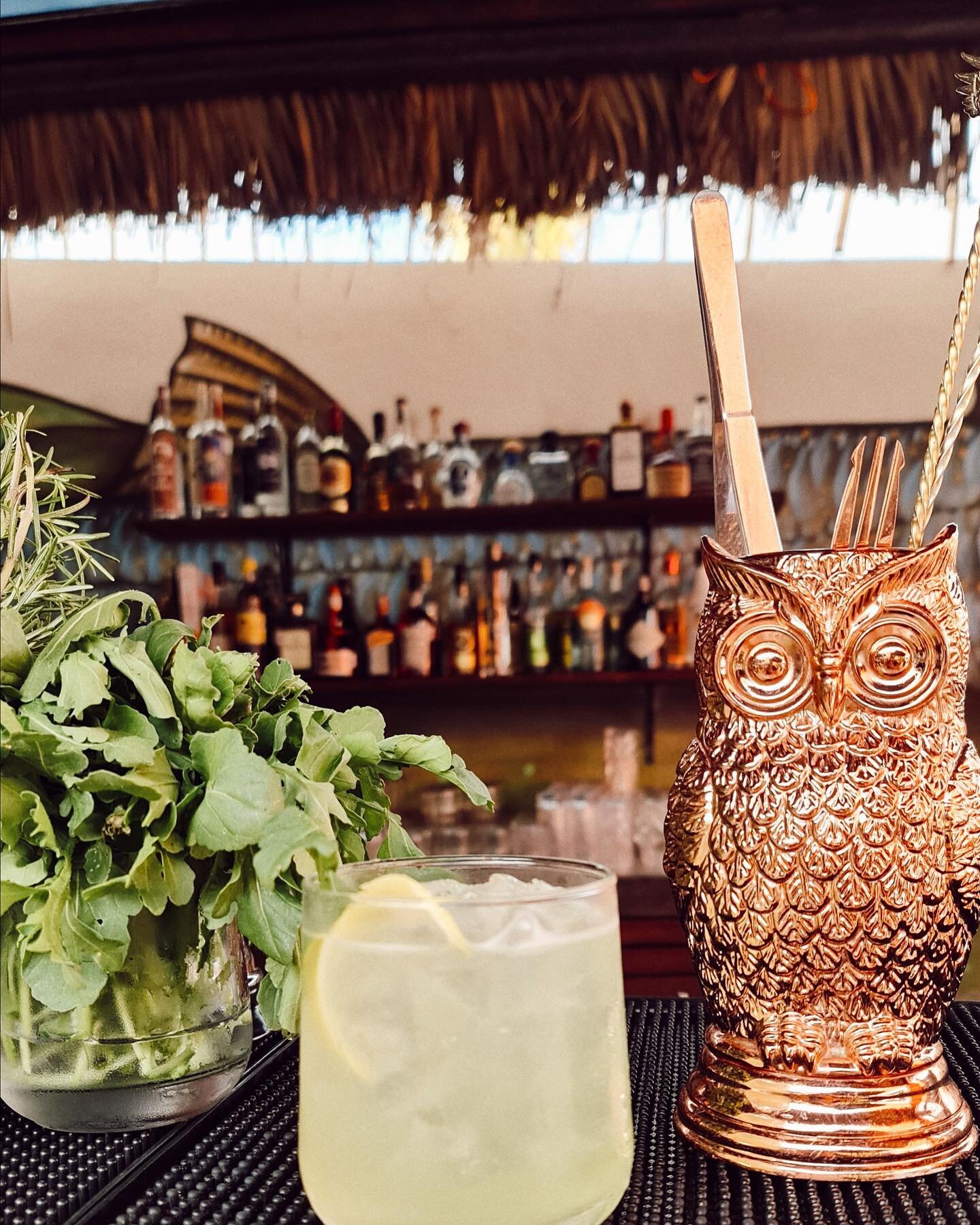 Escape the ordinary and treat yourself to something special at @barracudacantina_todossantos . 🍸

Unique cocktails and a relaxed atmosphere right in downtown Todos Santos at Plaza Amigos. 

#Barracuda #TodosSantos #todossantosbcs #todossantosmexico 