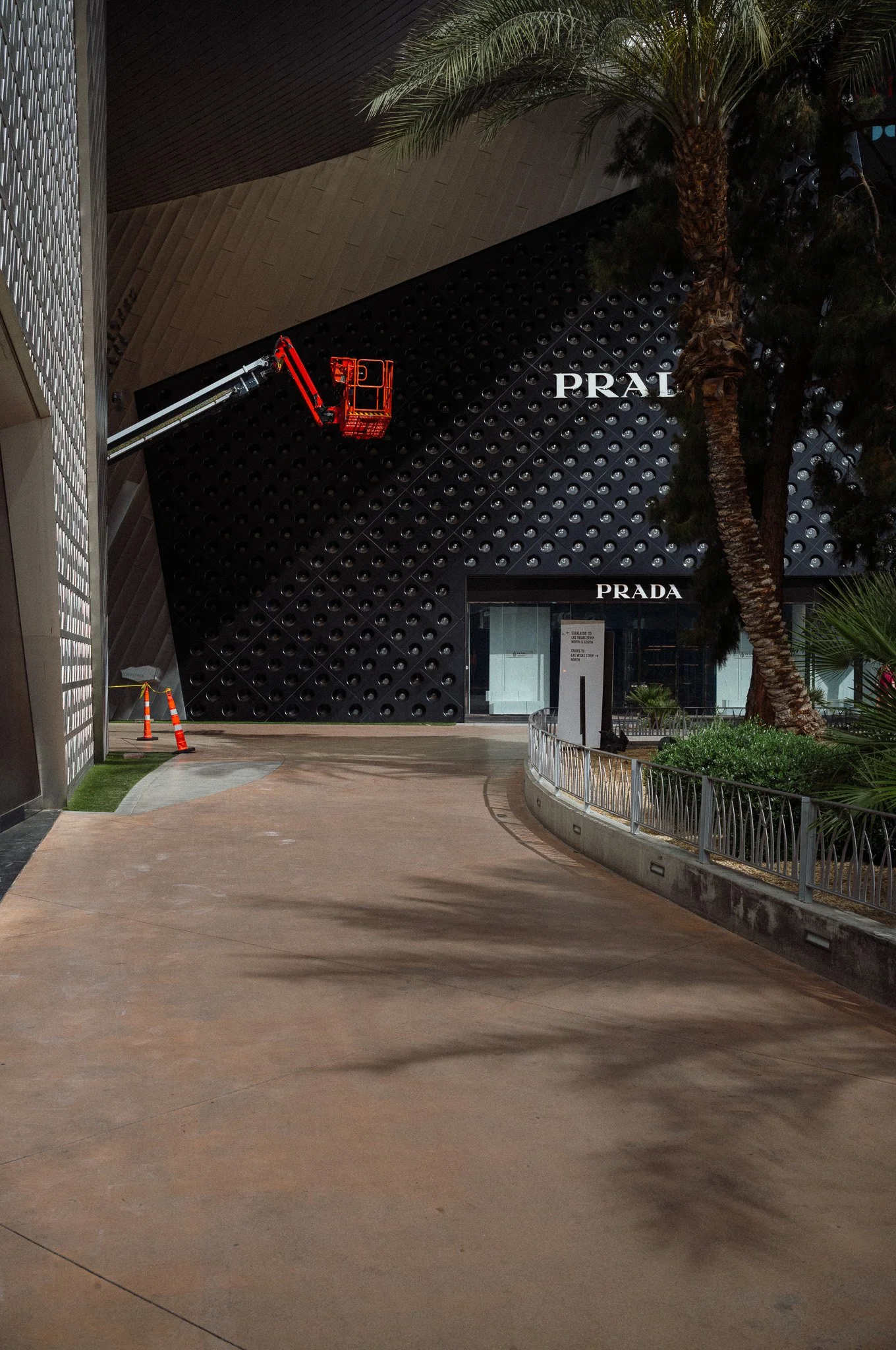 L1004029.jpg