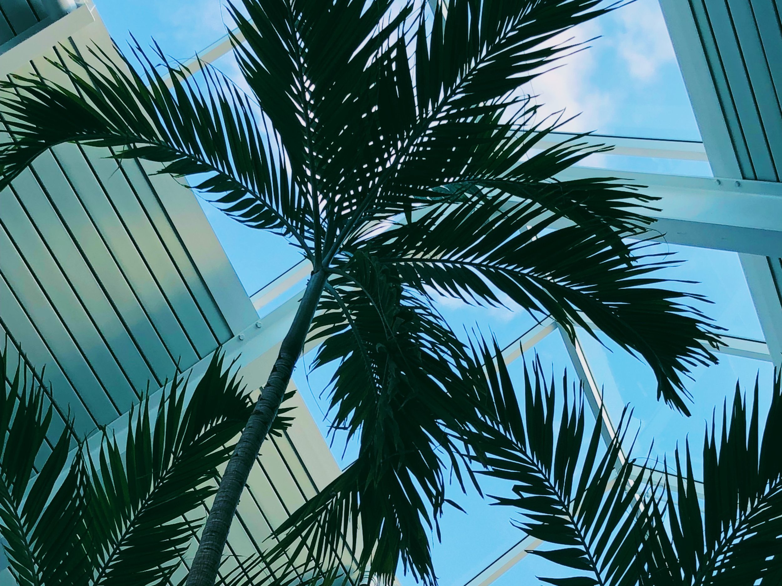 iOS+Upload (5).jpeg