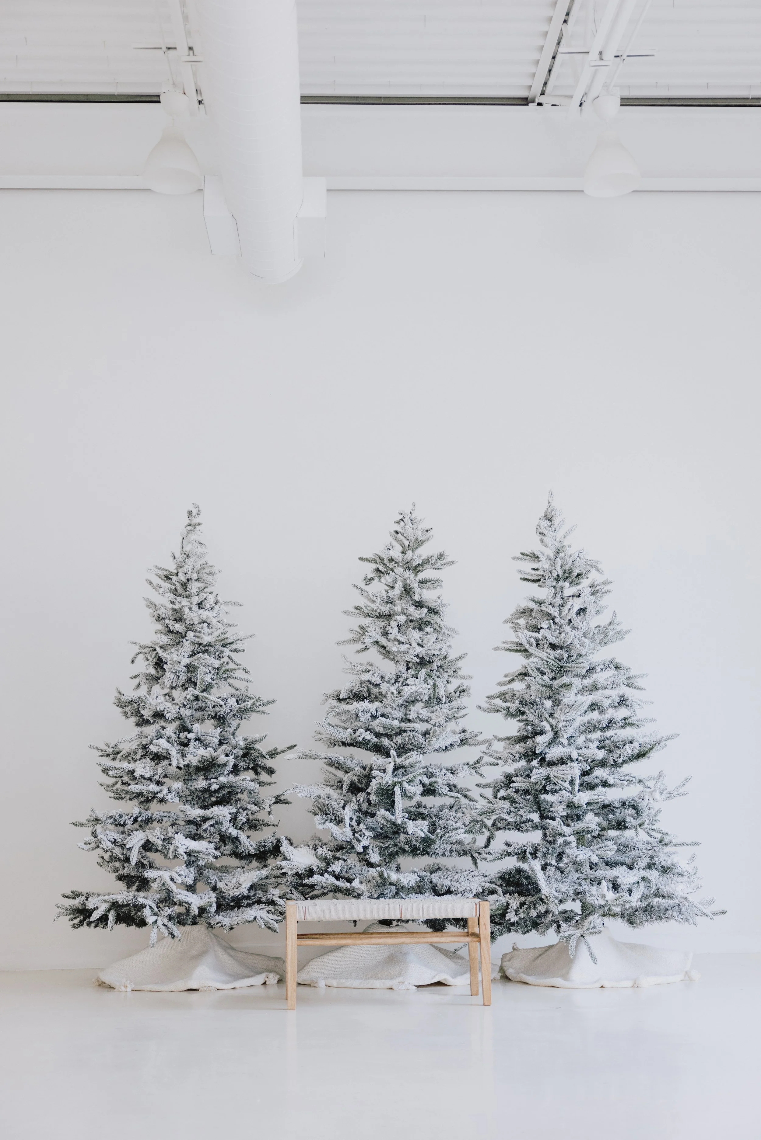 xmas_plano_denton-34.jpg