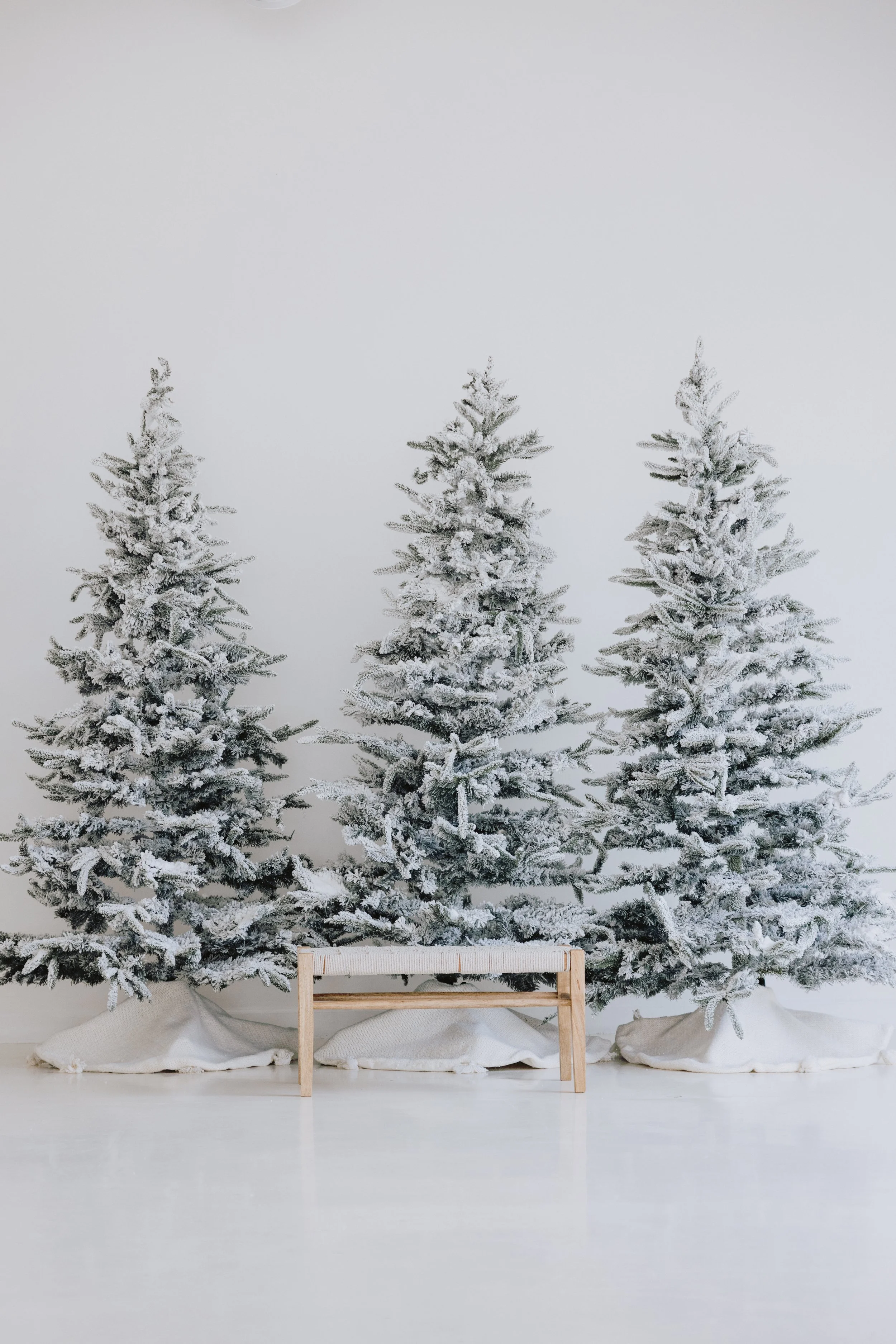 xmas_plano_denton-36.jpg