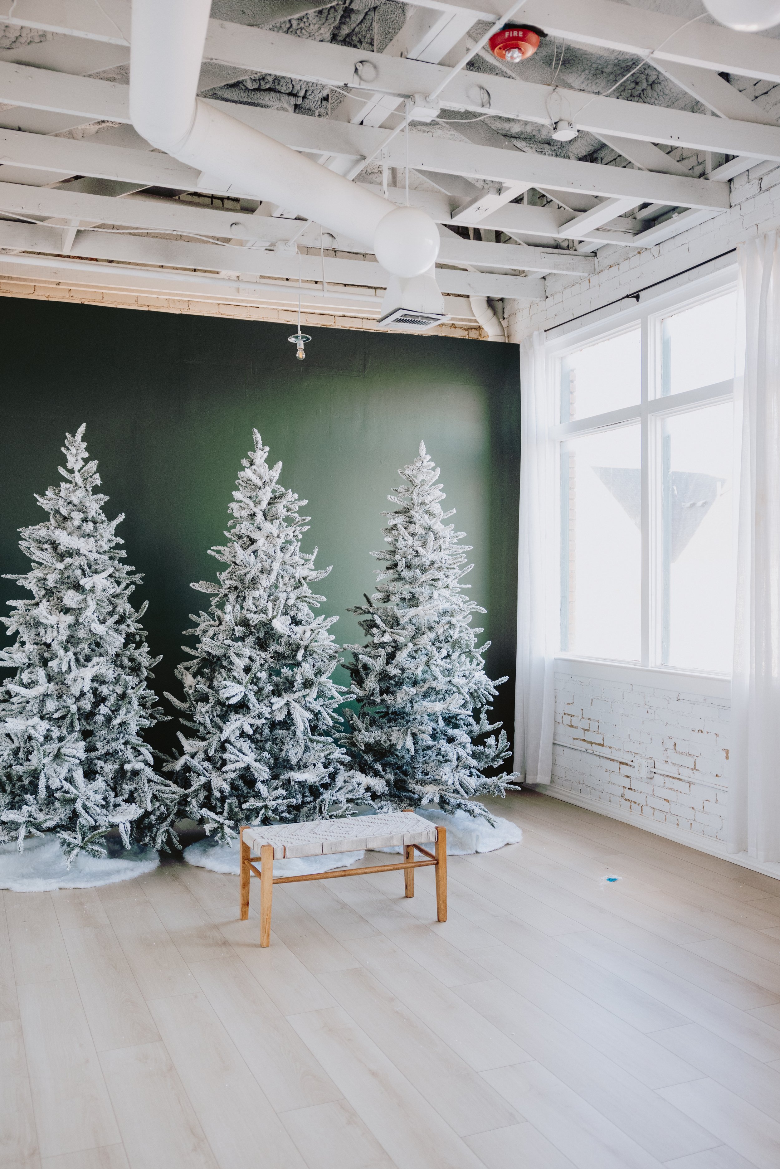 Dallas_home_xmas-6.jpg