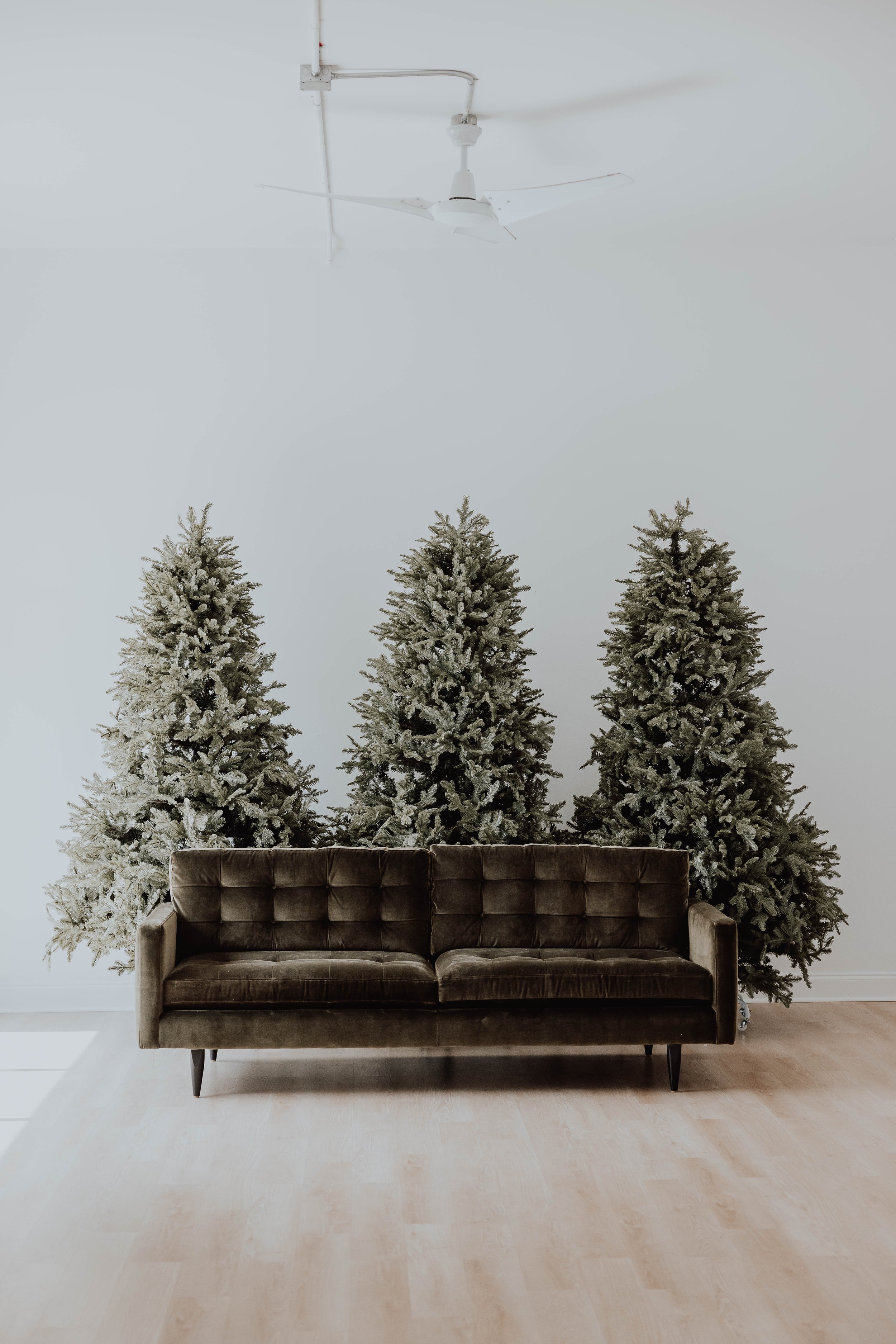 lumen_room_2023_christmas-30.jpg