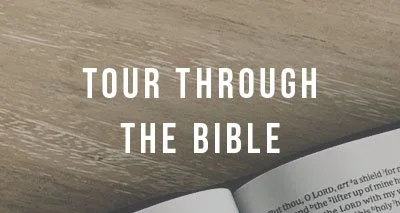 Introduction to the New Testament episode artwork