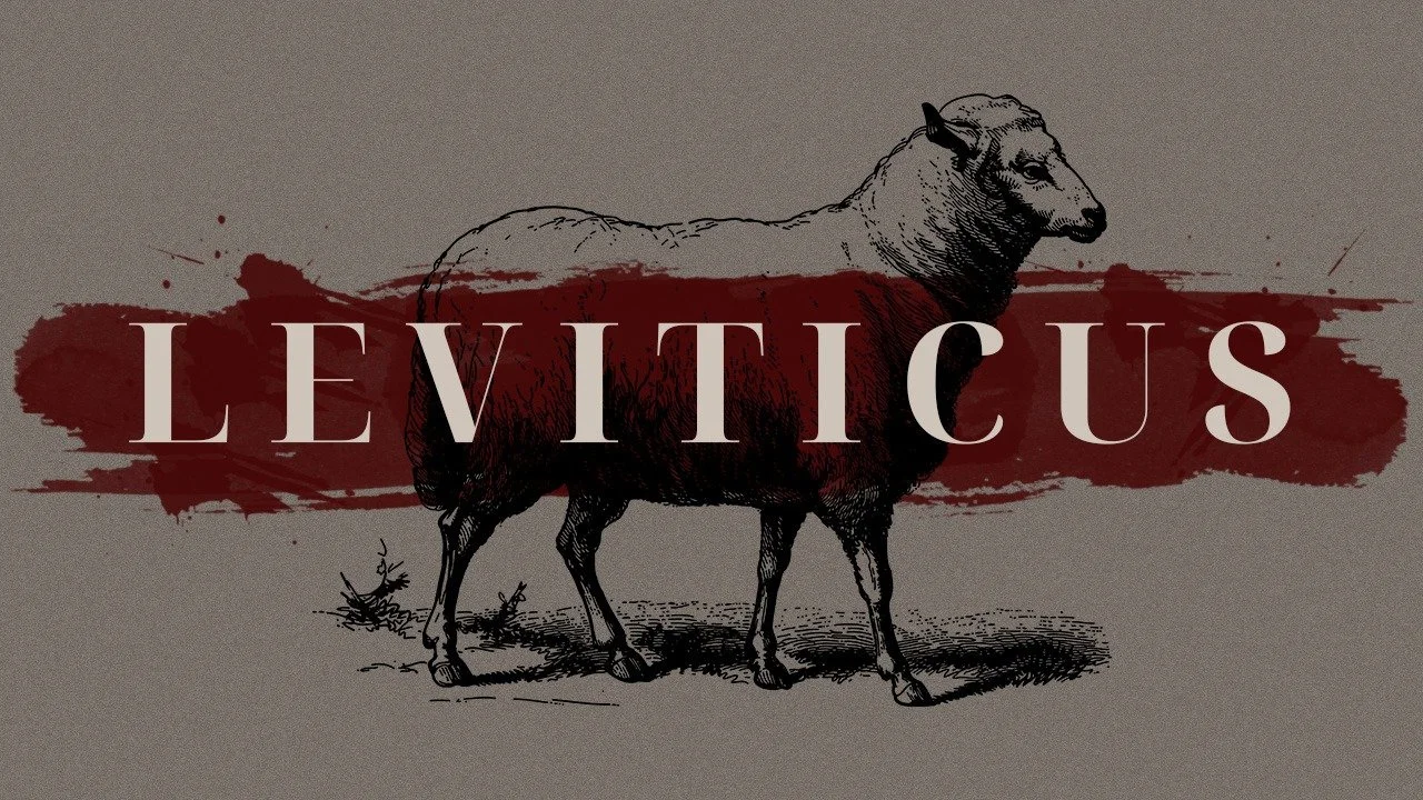 Why We Need Leviticus