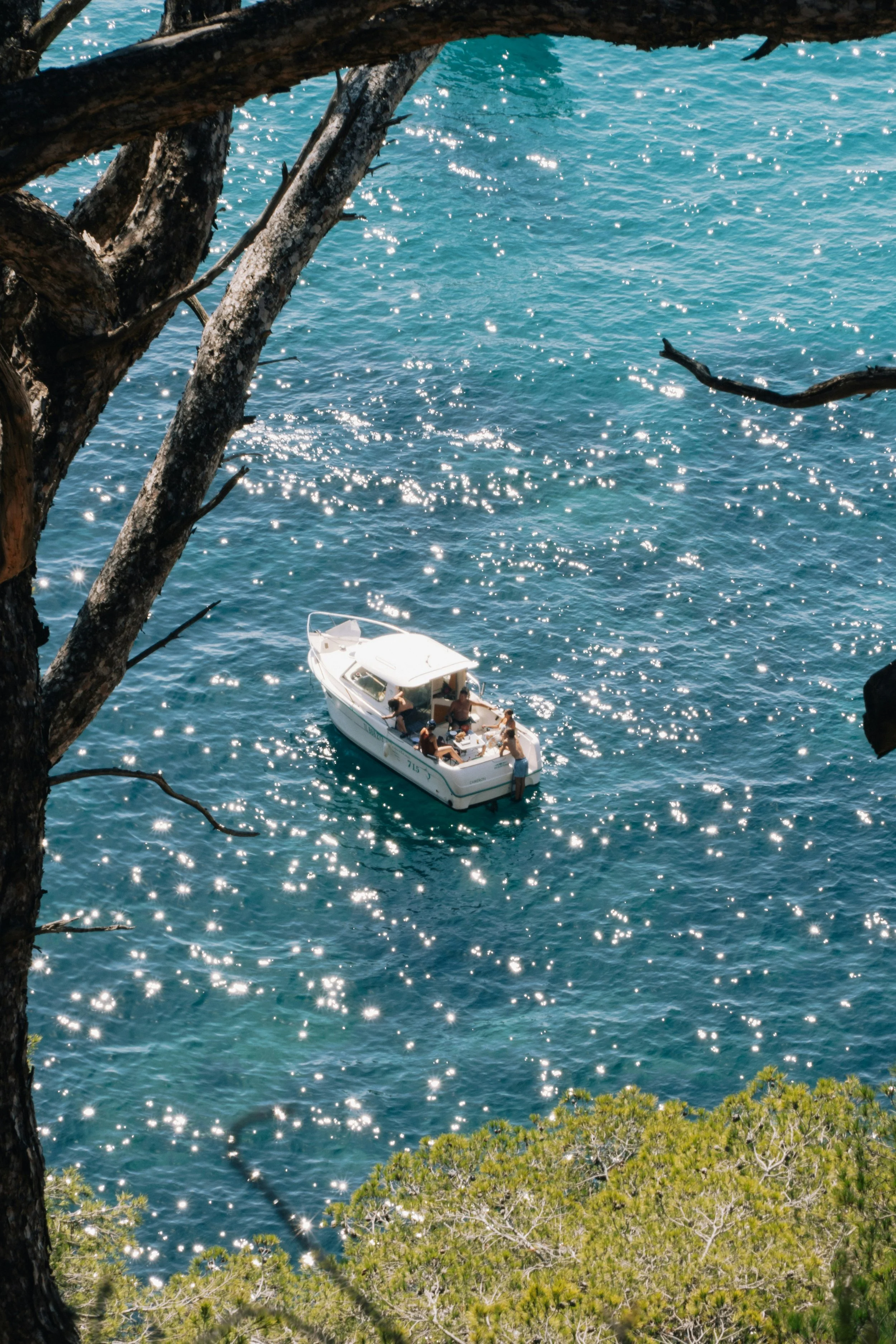 A white boat with five people on board floating on blue water with sunlight reflections, seen from a hill with tree branches and green foliage in the foreground.