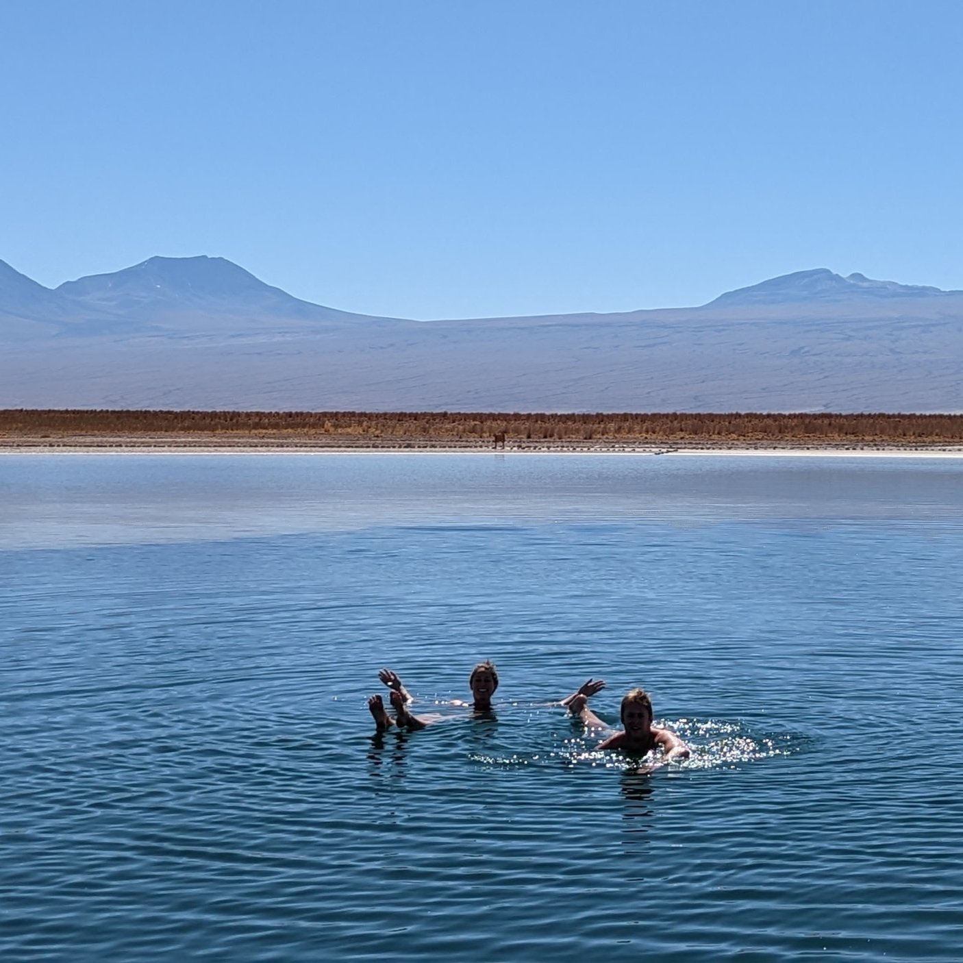 Lake+Cejar+Atacama.jpg