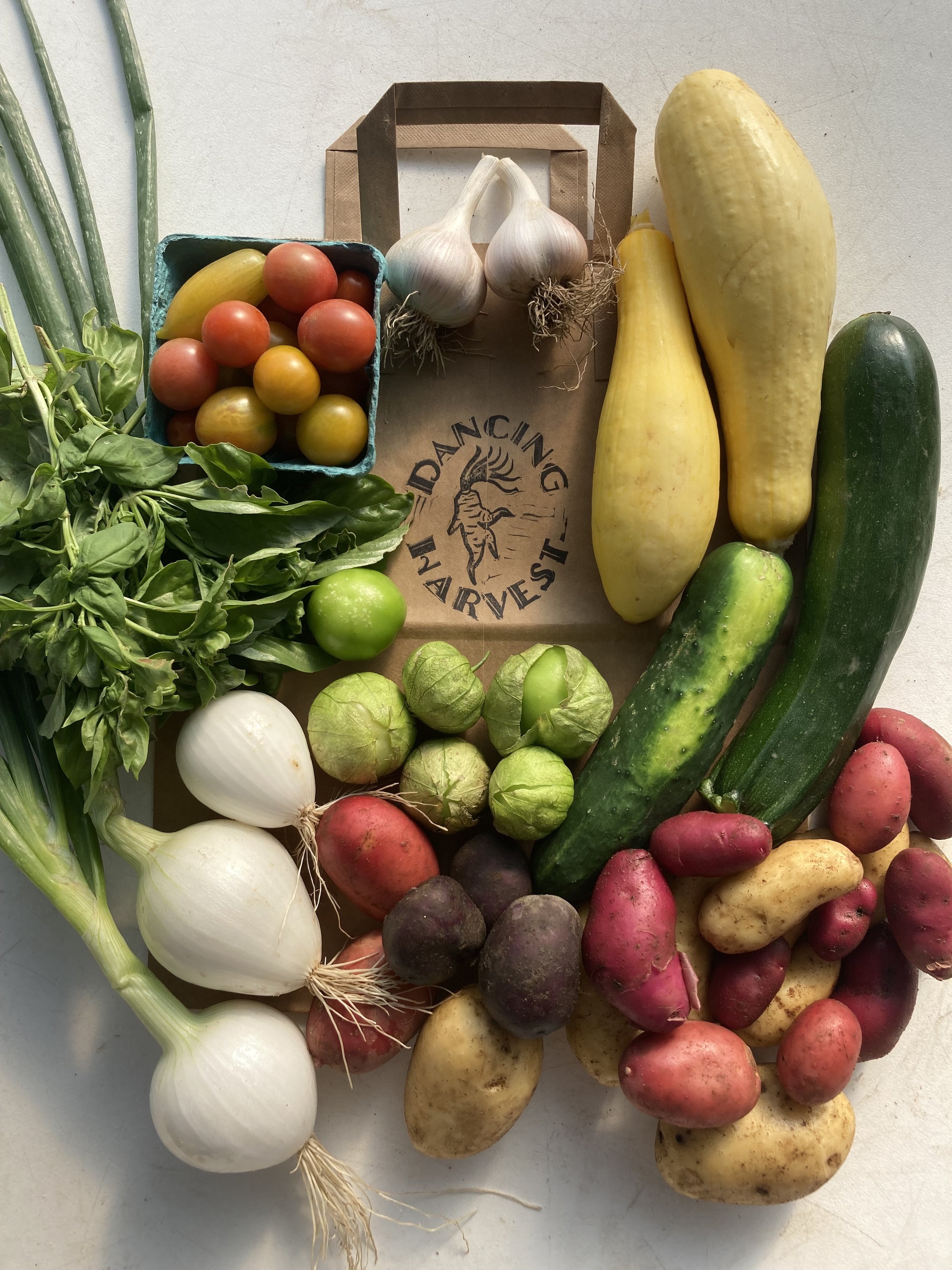 Full CSA - 2nd Installments Only Please!