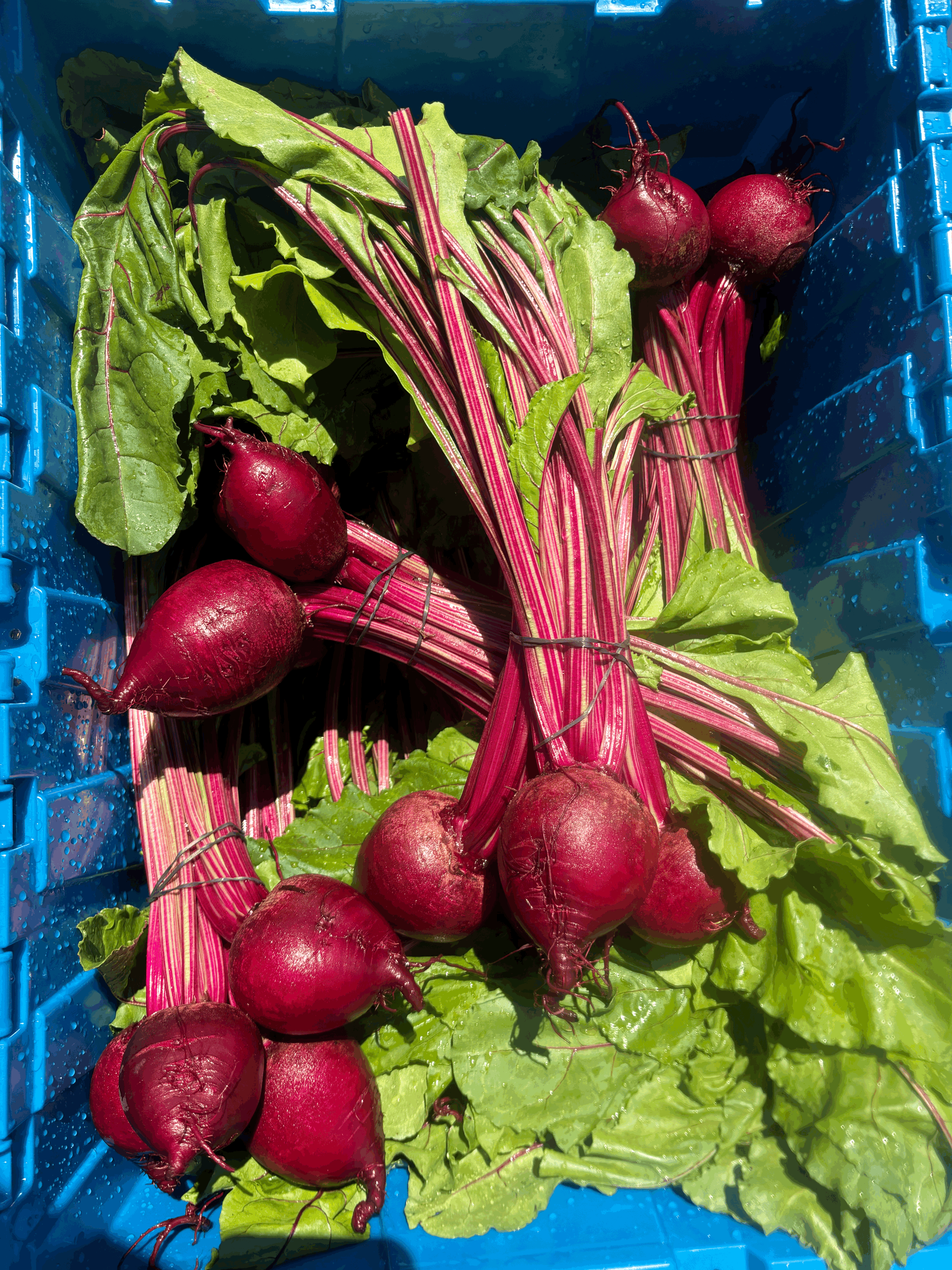 Beets