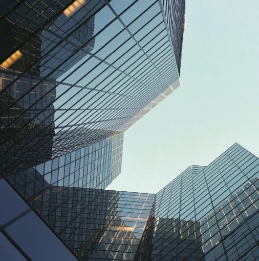 leadership development