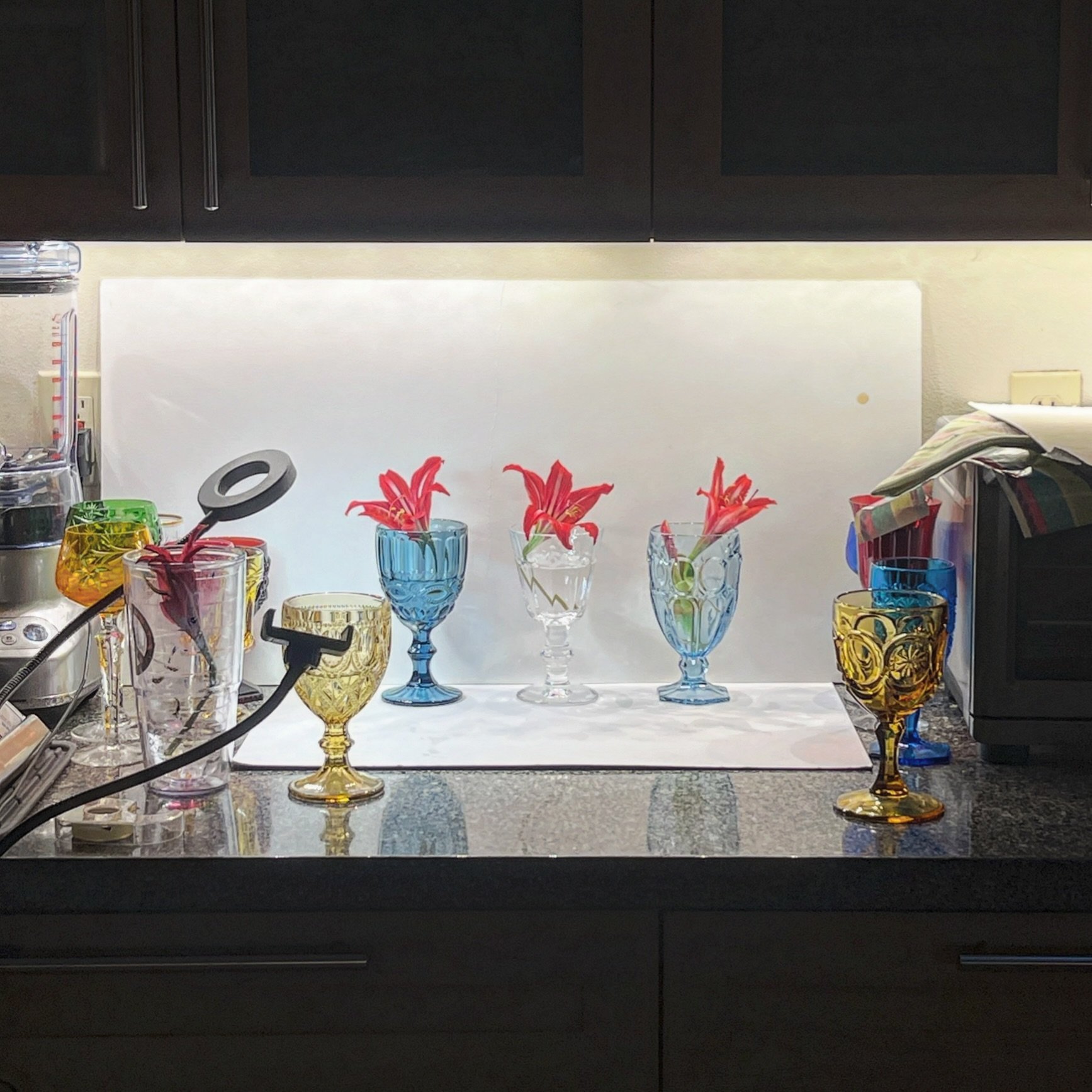 How do you like my photography studio? Set between the blender and the toaster oven, this counter is where the magic happens. 😂

The amaryllis are blooming in my garden and I wondered if they could pull off being center stage in a glass still life. 