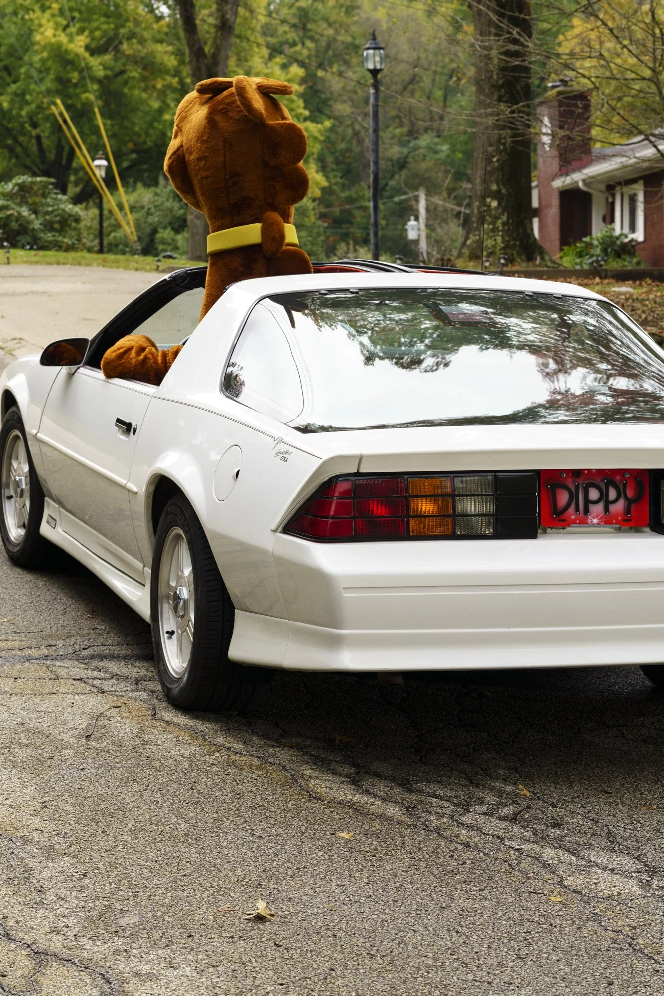 Dippycar.jpg
