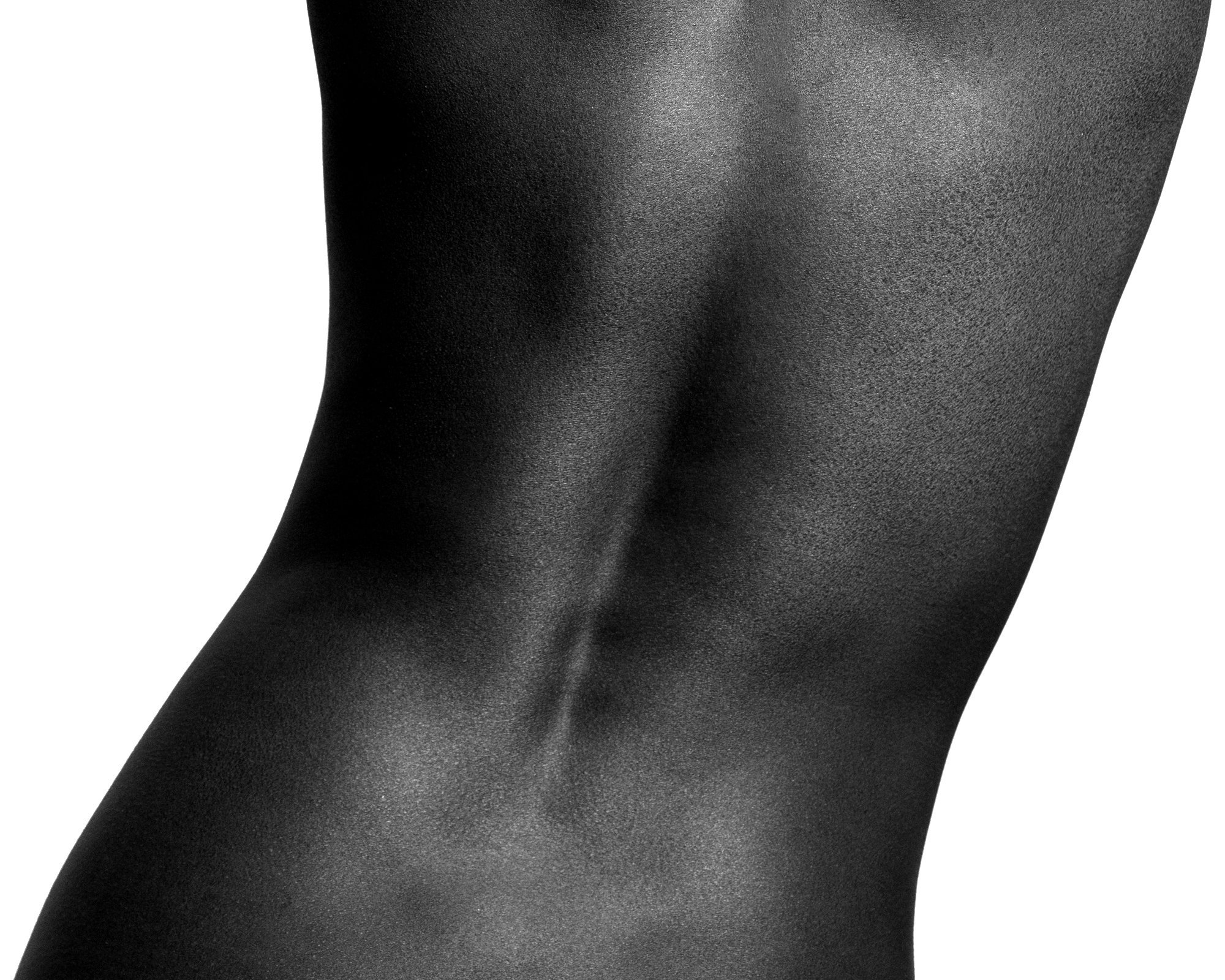 Bodies
