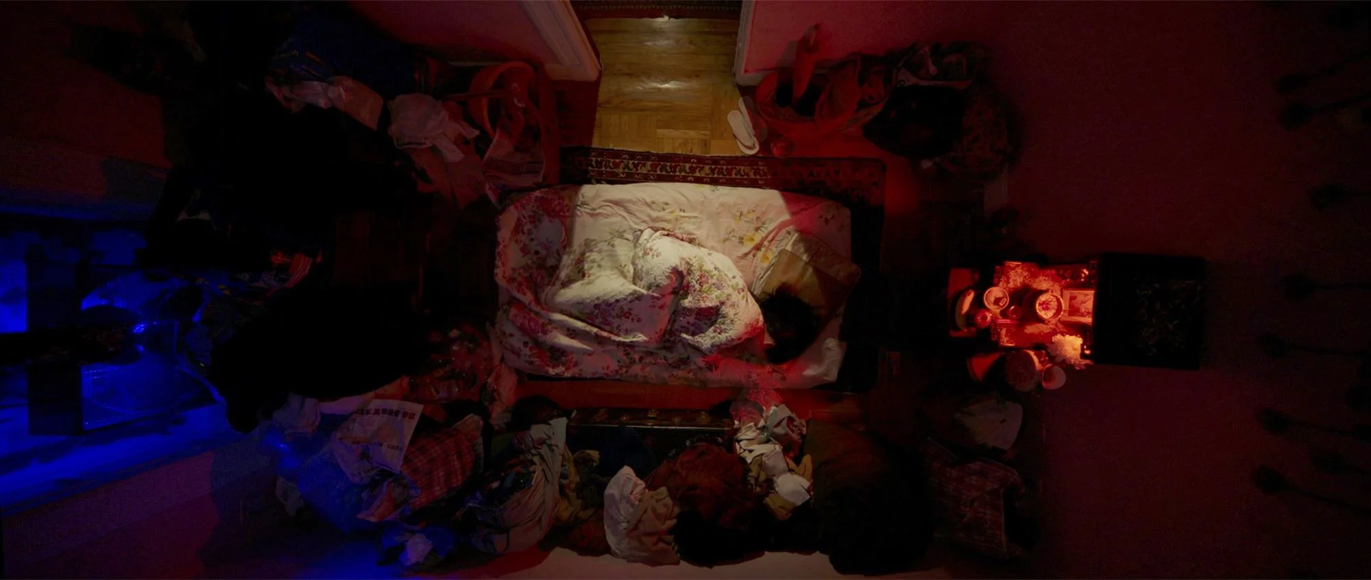 Chrysanthemum_2 copy.jpg