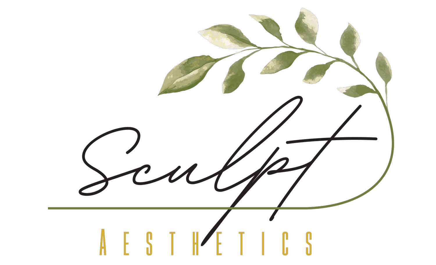 Sculpt Aesthetics 