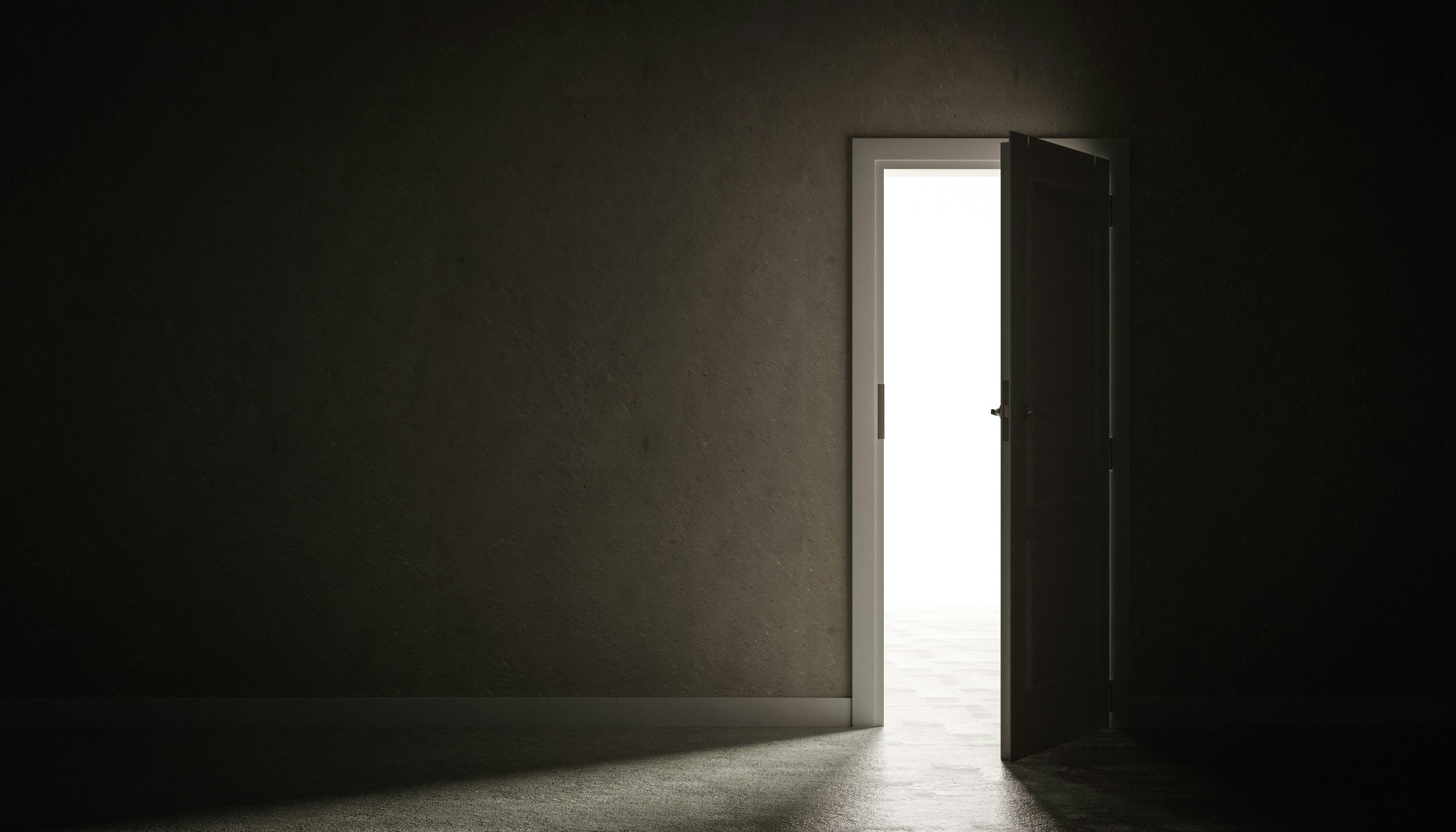 The Allocation Gap: When Investment Bias Overrides Investment Evidence