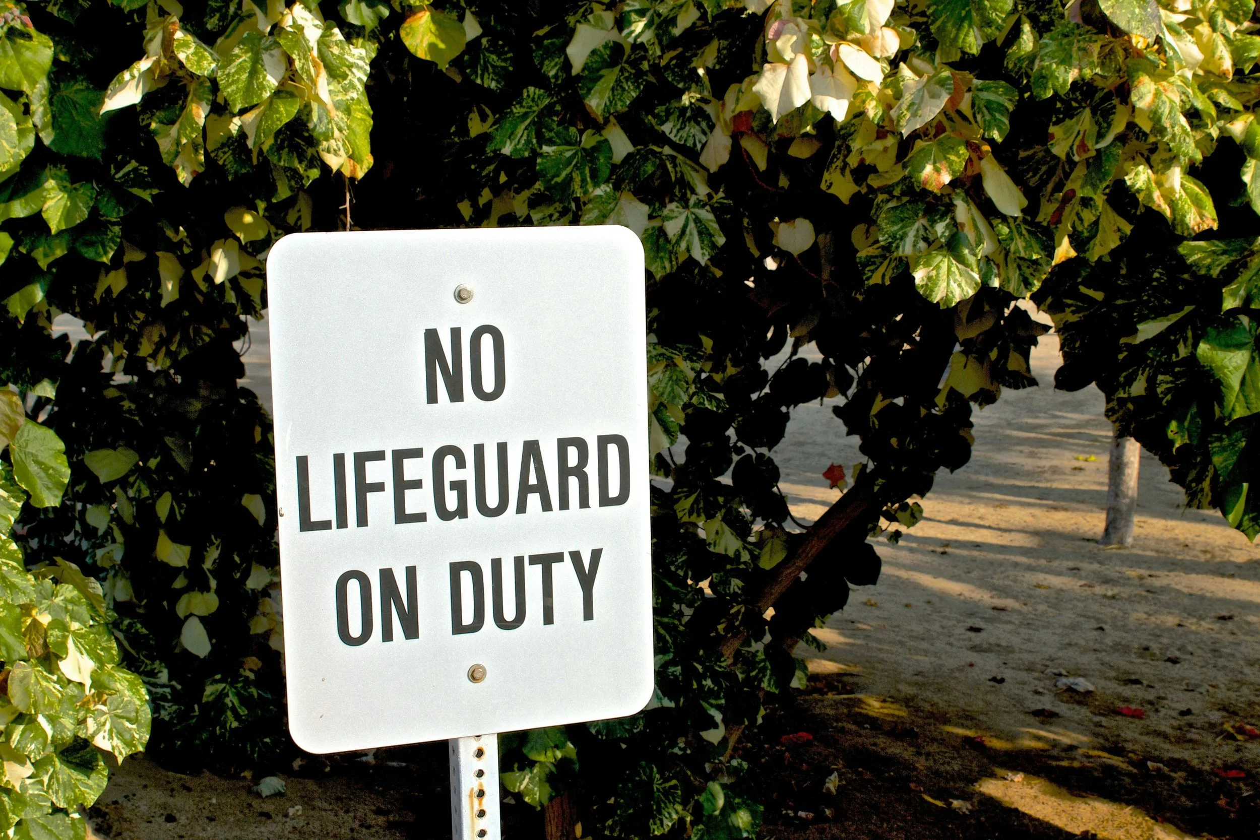 Fiduciary Duty Is Being Stress-Tested—Systemic Stewardship May Be the Answer