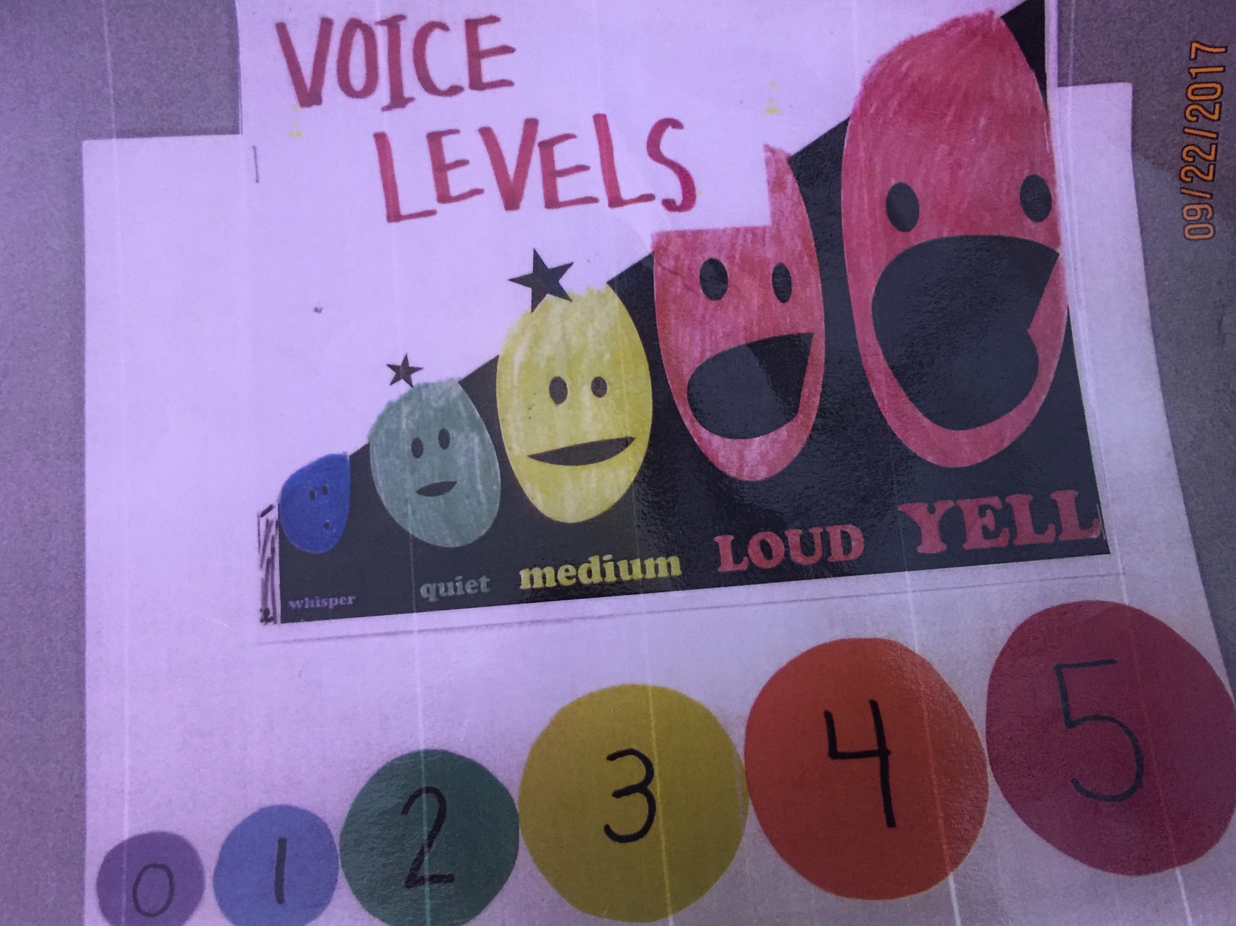 Voice Modulation