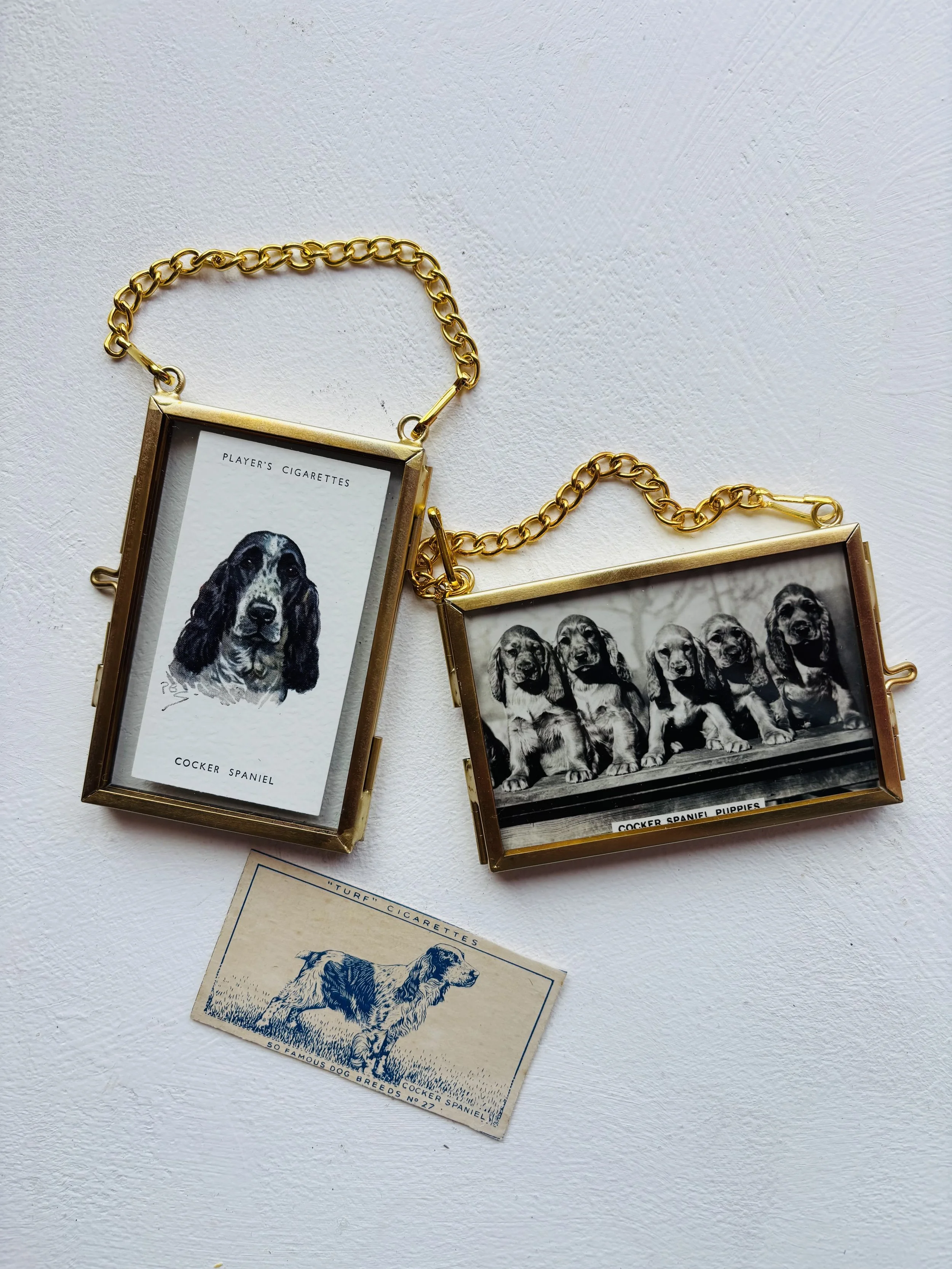 Vintage Dog Breed Pictures